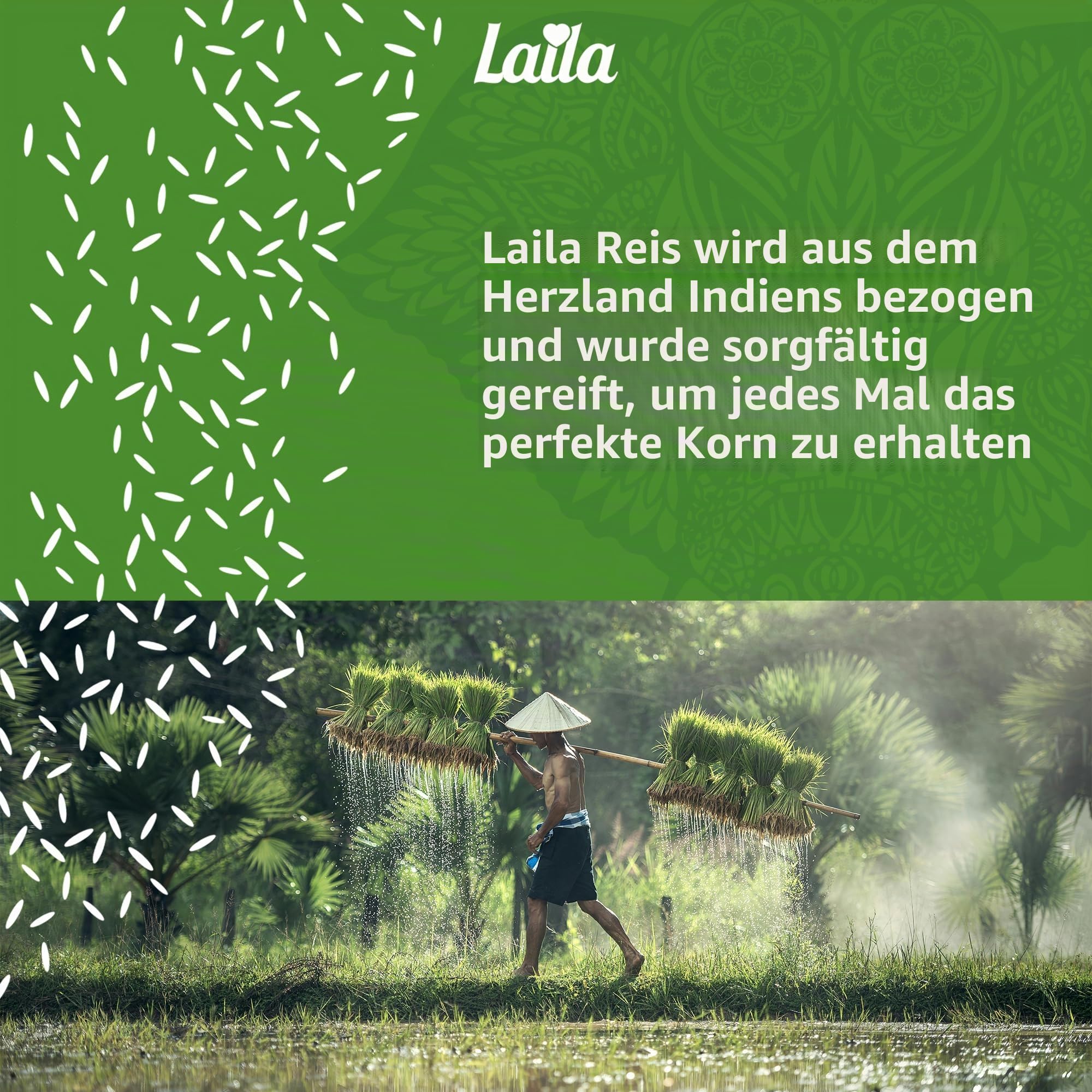 Laila Basmatireis 20 kg, aromatischer Reis im Basmati-Stil, 20 kg Basmatireis Langkorn für Biryani, Pilaw oder Pulao, glutenfreier Reis, 100% reiner Langkornreis