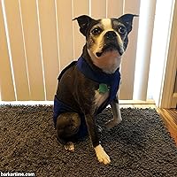 Vista 6 de Royal Blue - Pañal impermeable prémium para perro, a prueba de escapes, XL, con orificio para la cola, fabricado en Estados Unidos