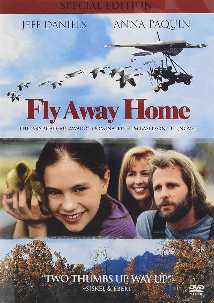その他 Fly Away [DVD] Amazon.co.jp: Fly Away Home : DVD