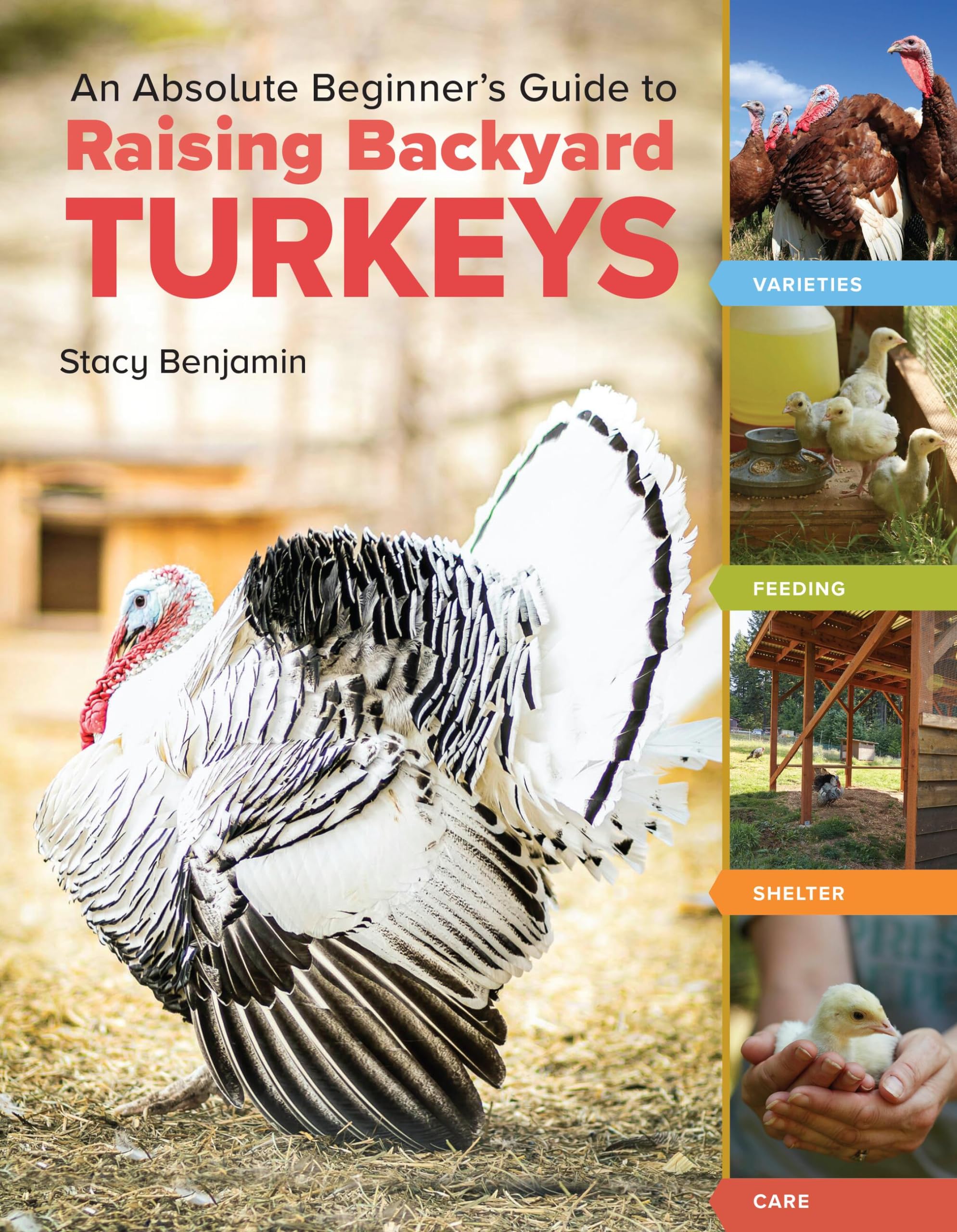 An Absolute Beginner's Guide to Raising Backyard Turkeys by S... - 9781635867565