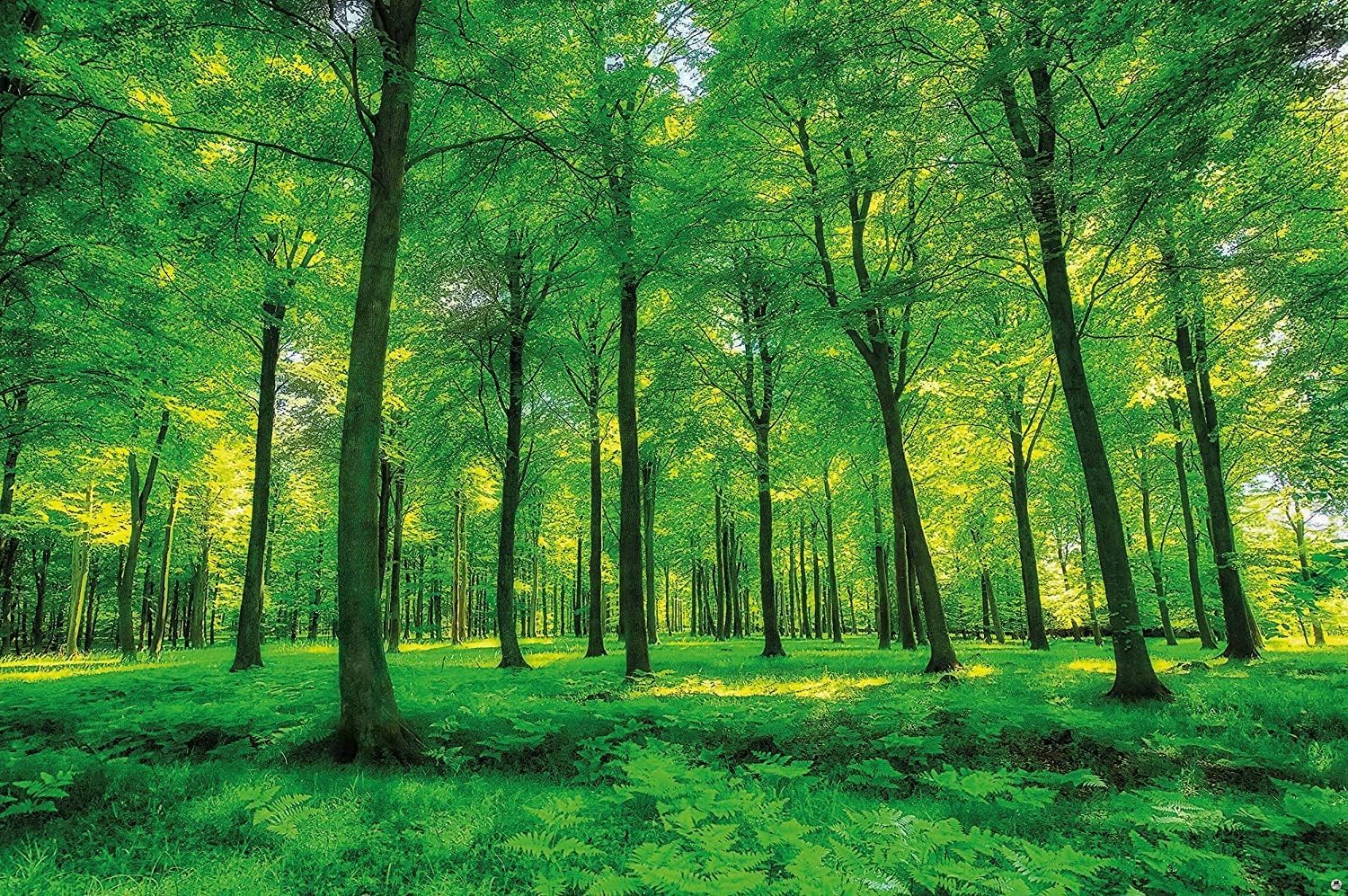 Mur en tissu paysage de forêt 3D, revêtement mural haut de gamme sur mesure