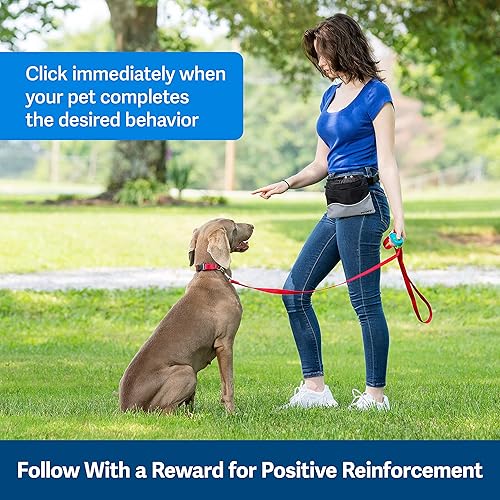 Miniatura 10 de PetSafe Clik-R  Refuerzo de comportamiento positivo para mascotas  Todas las edades cachorros y perros adultos  Uso para recompensar y entrenar