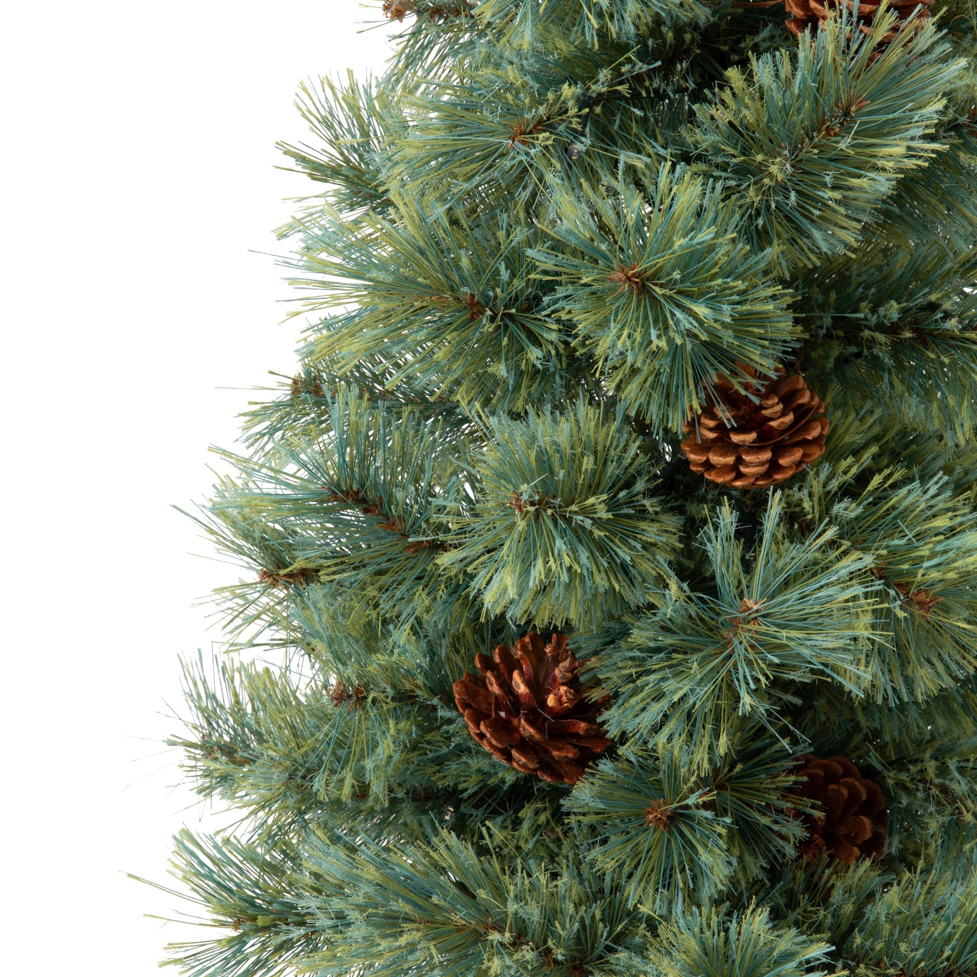 Amazon.co.jp: 【2024年モデル】Francfranc フランフラン LED 50球付き