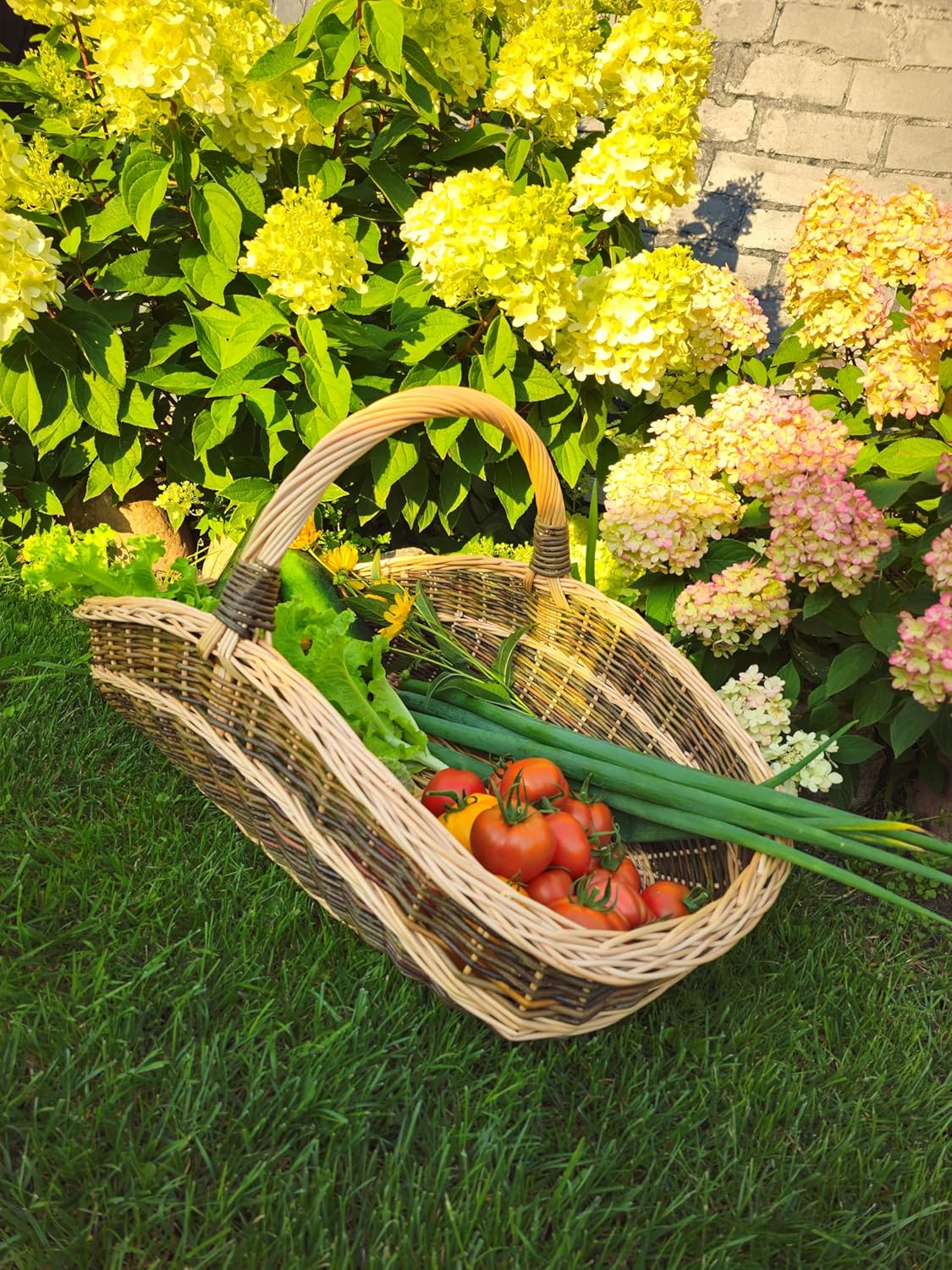 Extra-Large Rustic Willow Trug – Handwoven Two-Tone Harvest Carrier with Handle – 70 x 42 x 36 cm (27.6 x 16.5 x 14.2 in) – Natural Wicker Gathering Basket (#1)