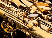 Vista 5 de Kit de cuidado para saxofón con 11 reeds, 8 para saxofón alto cojines, funda, Glory E Flat, Dorado