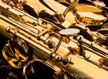 Glory Gold Laquer E Flat Alto Saxophone with 11reeds,8 Pads cushions,case,carekit