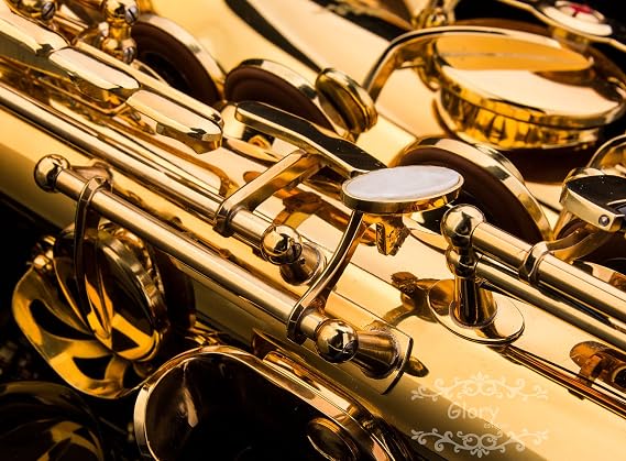 Glory Gold Laquer E Flat Alto Saxophone with 11reeds,8 Pads cushions,case,carekit