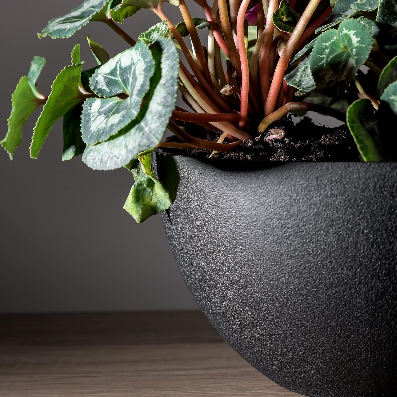 Self Watering Hanging Planter (10" Inch Set of 2) | Nude Rope & Black Flower Pots | Hanging Planters for Indoor Plants and Outdoor | Hanging Pots for Plants Indoor