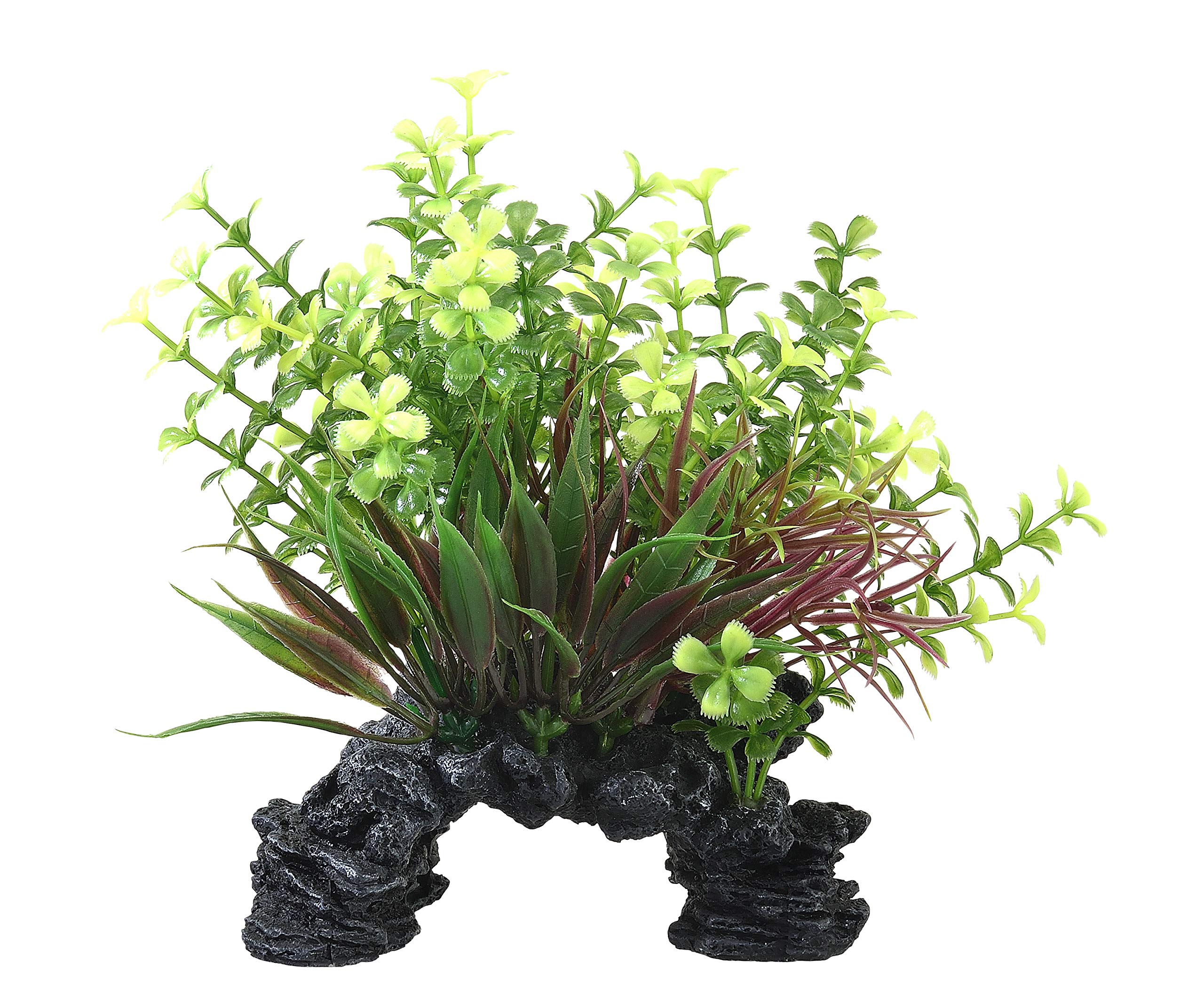 水草 MIZ 411447-4Y9H.jpg?s=687ac88b