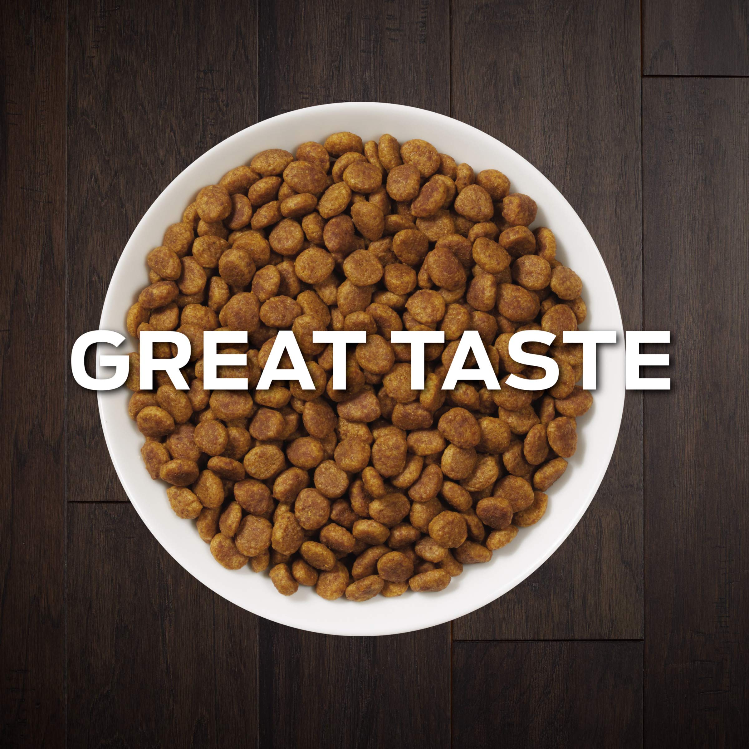 purina nf renal cat food