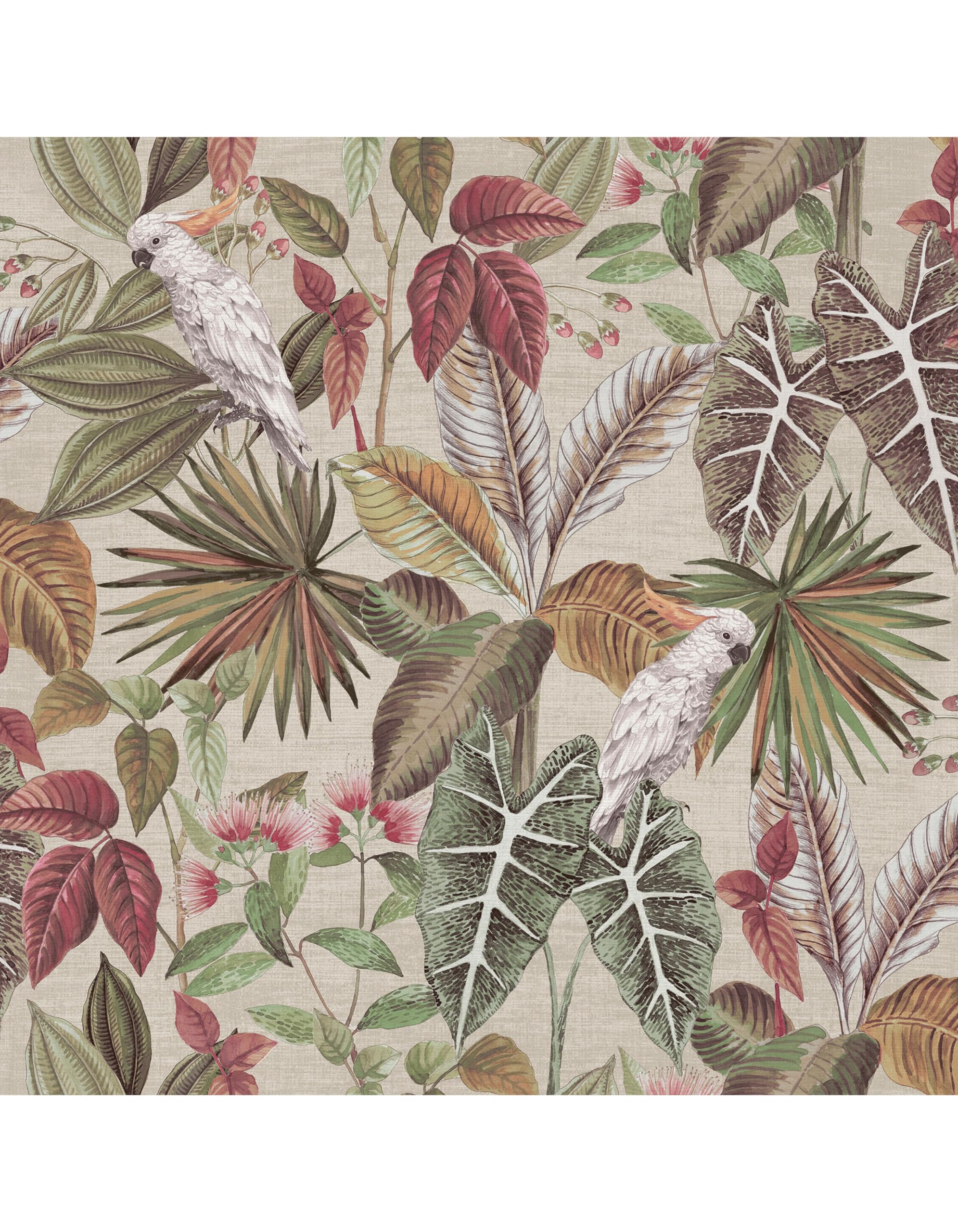 Arthouse Vintage Parrot Multi Wallpaper from B&Q