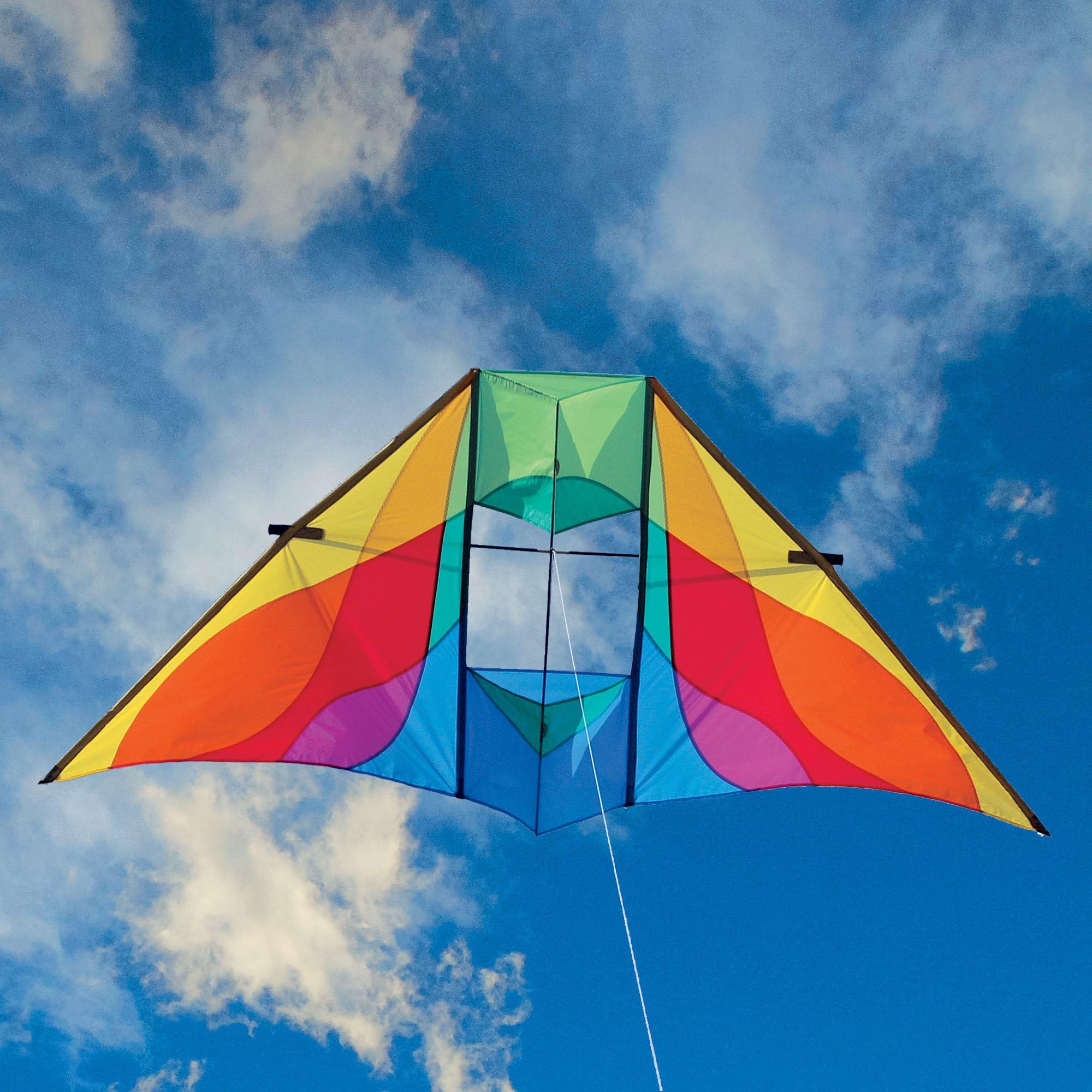 Into The Wind Rocky Mountain Delta Conyne Kite Rainbow