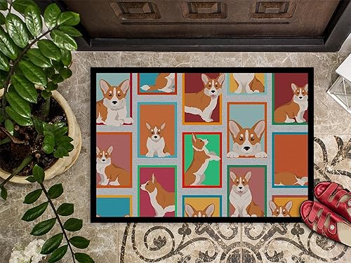 Vista 218 de Caroline's Treasures MLM1087MAT - Felpudo de perro de montaña bernés de 18 x 27 pulgadas, para interiores y exteriores, para entrada, Bernese