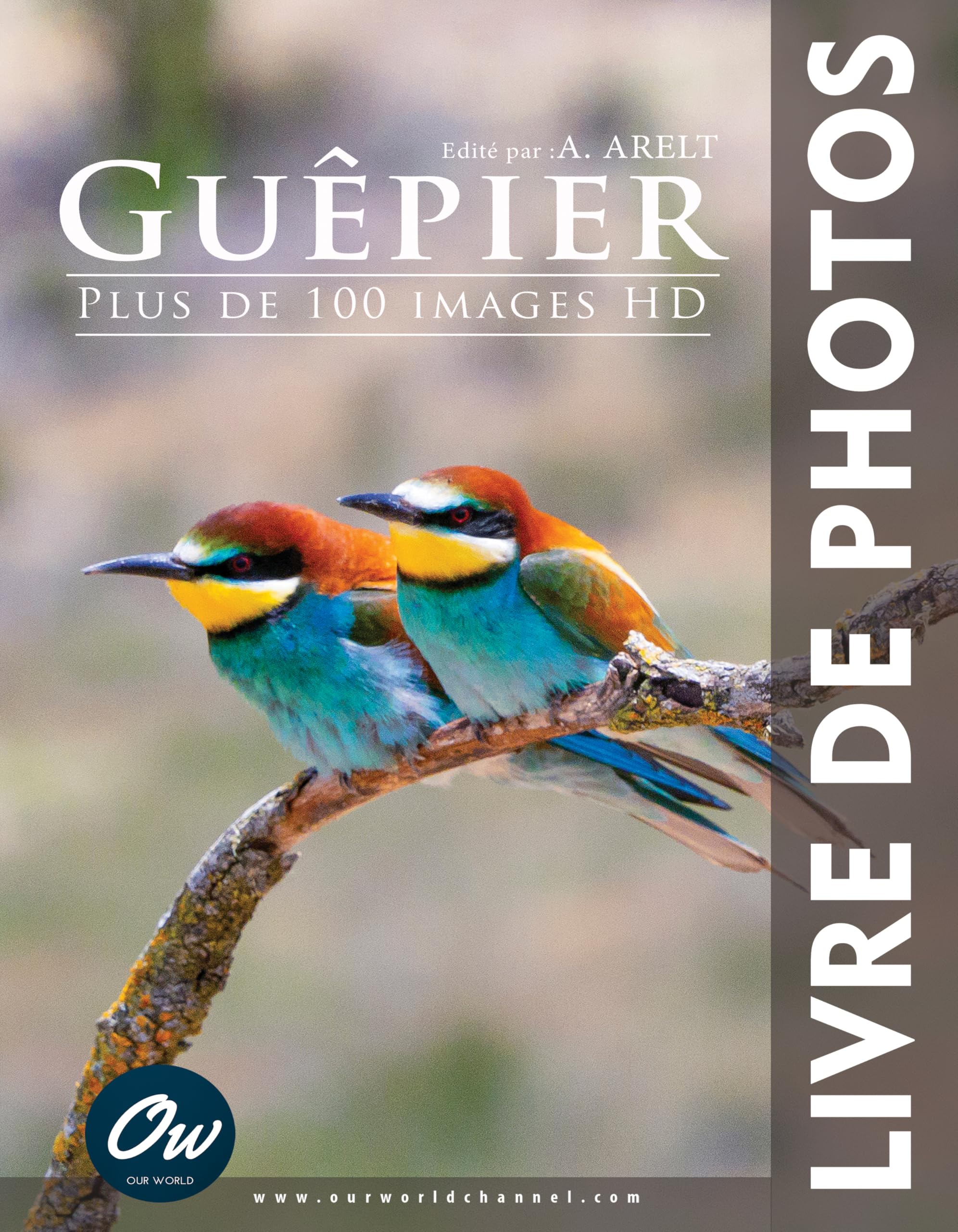 Guêpier : Livre de Photos d'oiseaux pour décorer votre salon