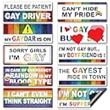 Frienda 10 Pcs Bumper Decals Funny LGBT Stickers Rainbow Bumper Prank Car Stickers Colorful Car Accessories for Truck Vehicle Luggage Window Refrigerator(Magnetic,Stylish Style)