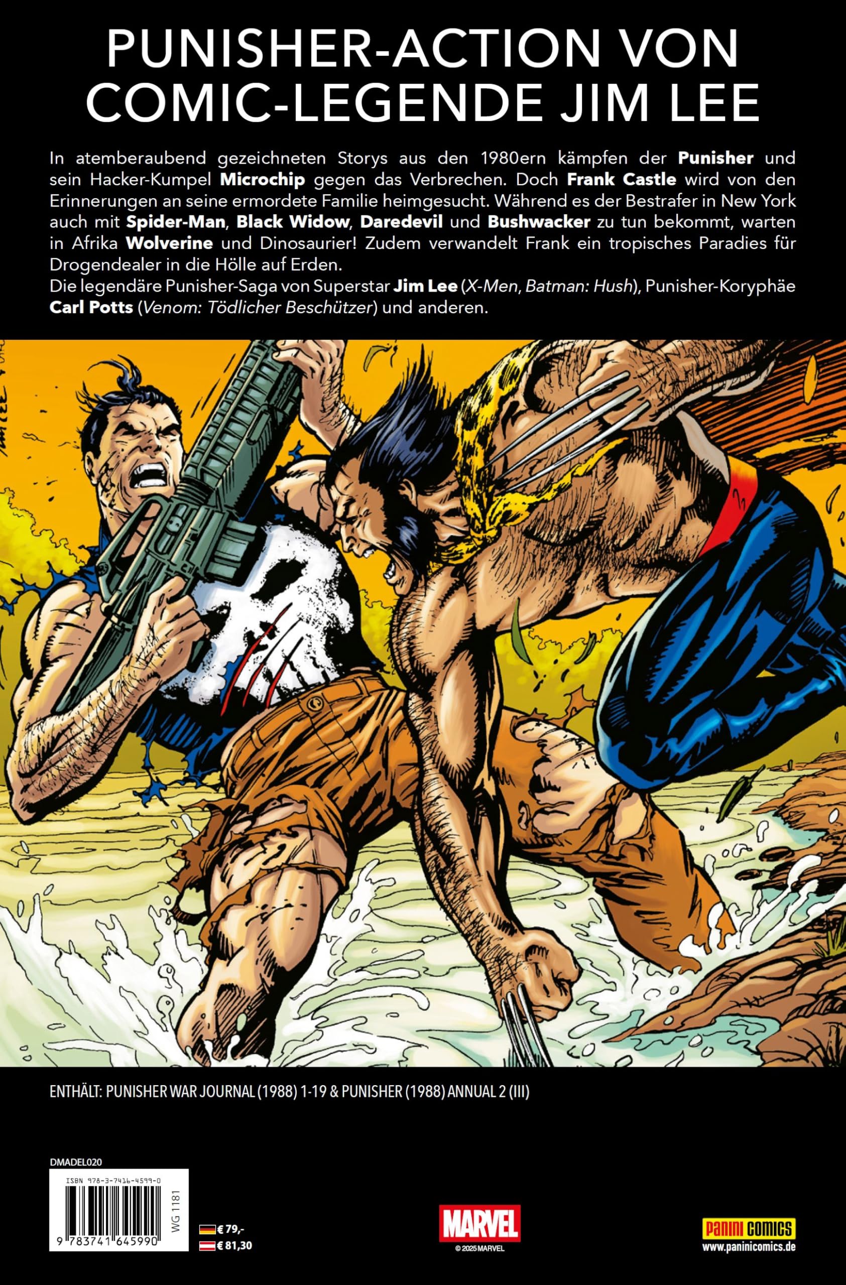 Punisher Collection von Jim Lee