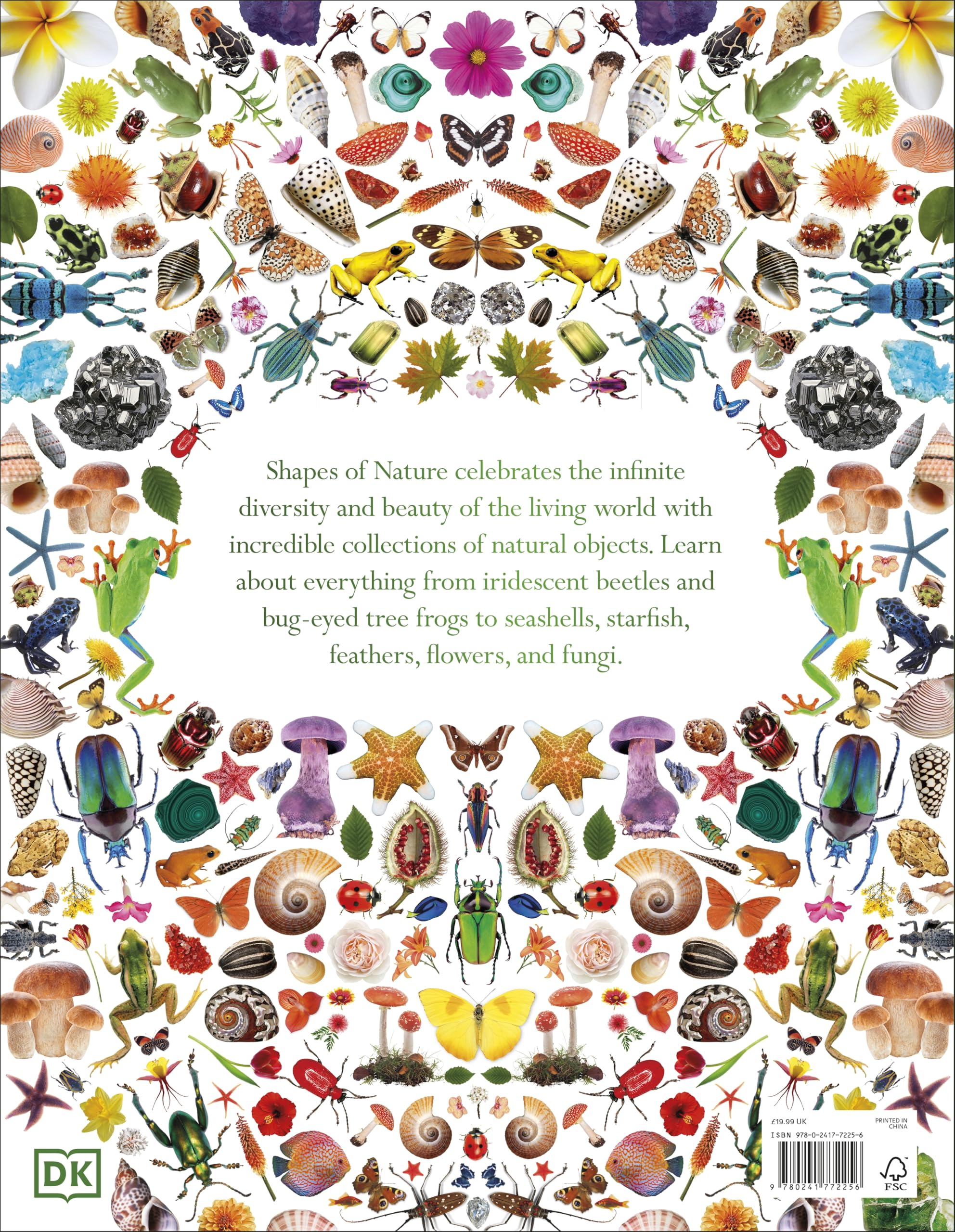Shapes of Nature: A Big, Beautiful Book of the Natural World for Kids