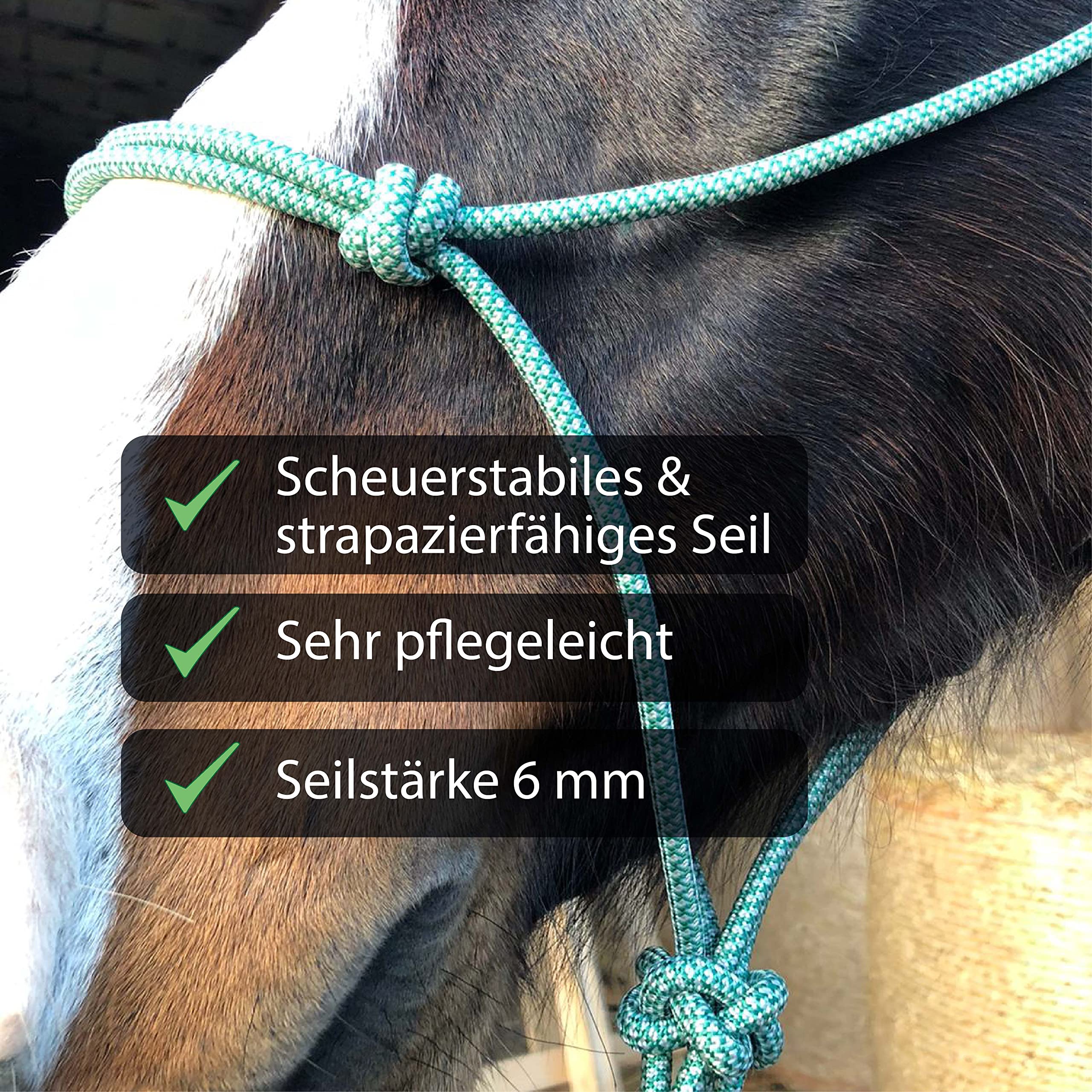 Licol En Corde De Traction Multi-nœuds En Polyester Pour L'entraînement Des Chevaux, La Conduite Quotidienne, L'équitation (vert