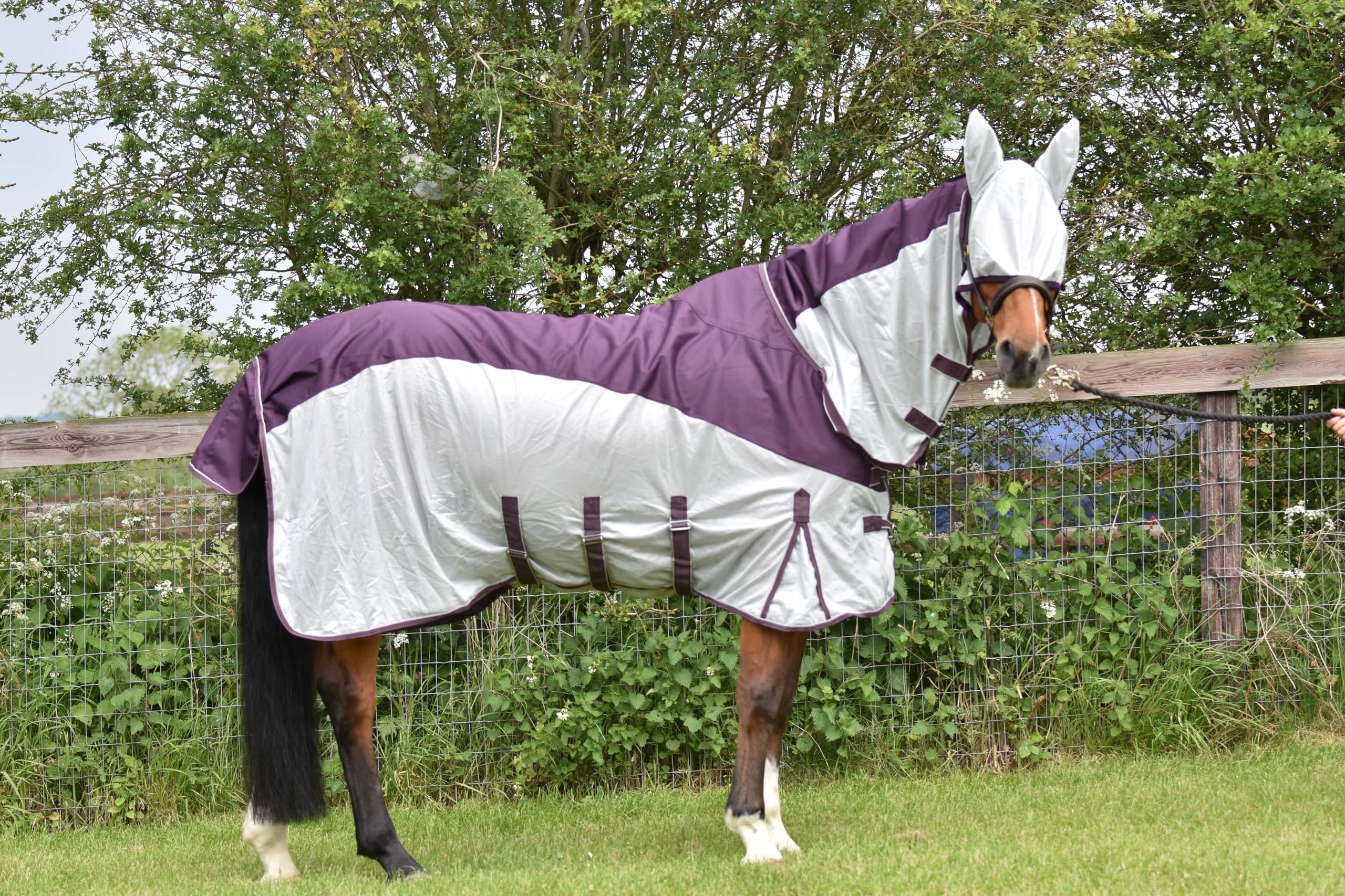 Autumnn Equestiran Horse Fly Rug With Neck Combo Waterproof Fly Rug 600D Top With Free Fly Mask Mesh Fabric Anti Rub Lining Hybrid 2 in 1 Horse Fly rug (6'6'')