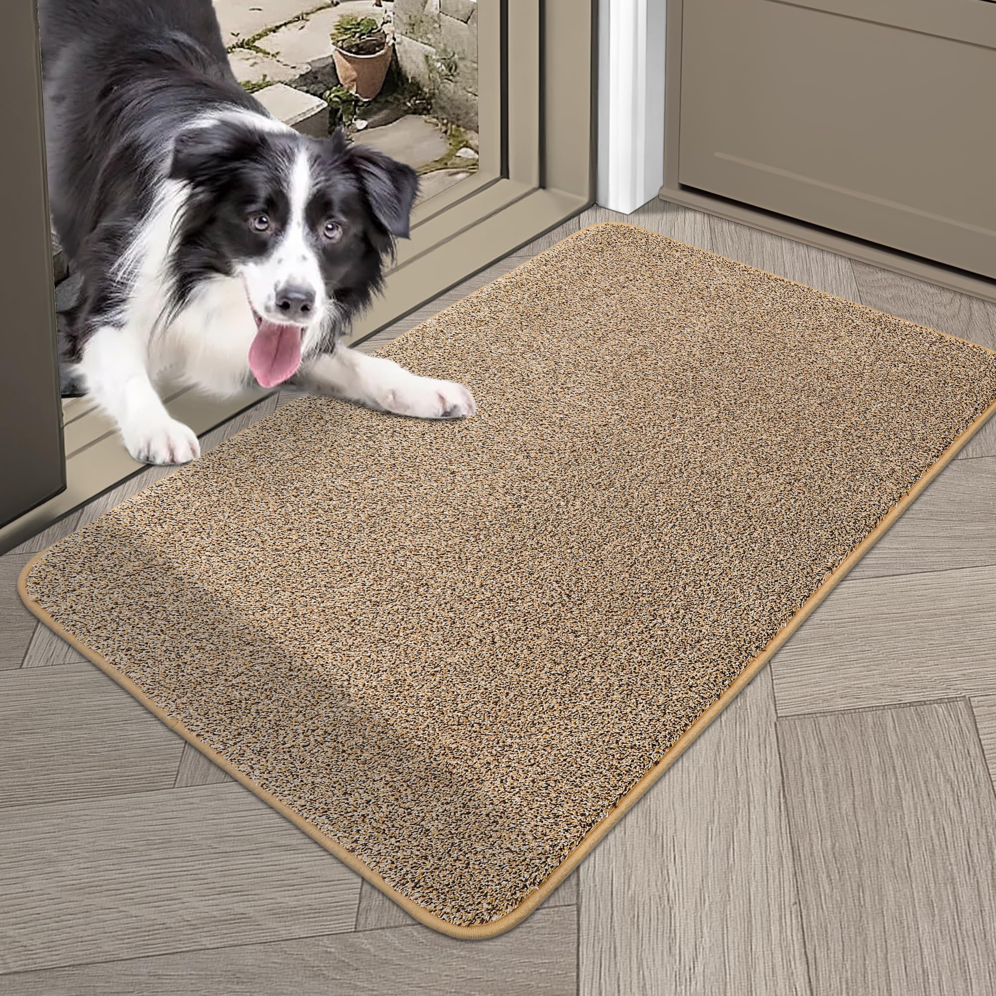 COSY HOMEER Nonslip Door Mats Indoor