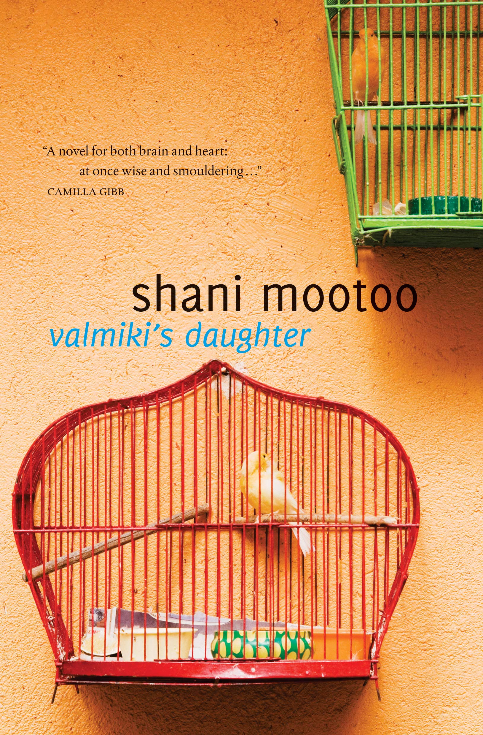 Valmiki's Daughter Paperback – September 1, 2010