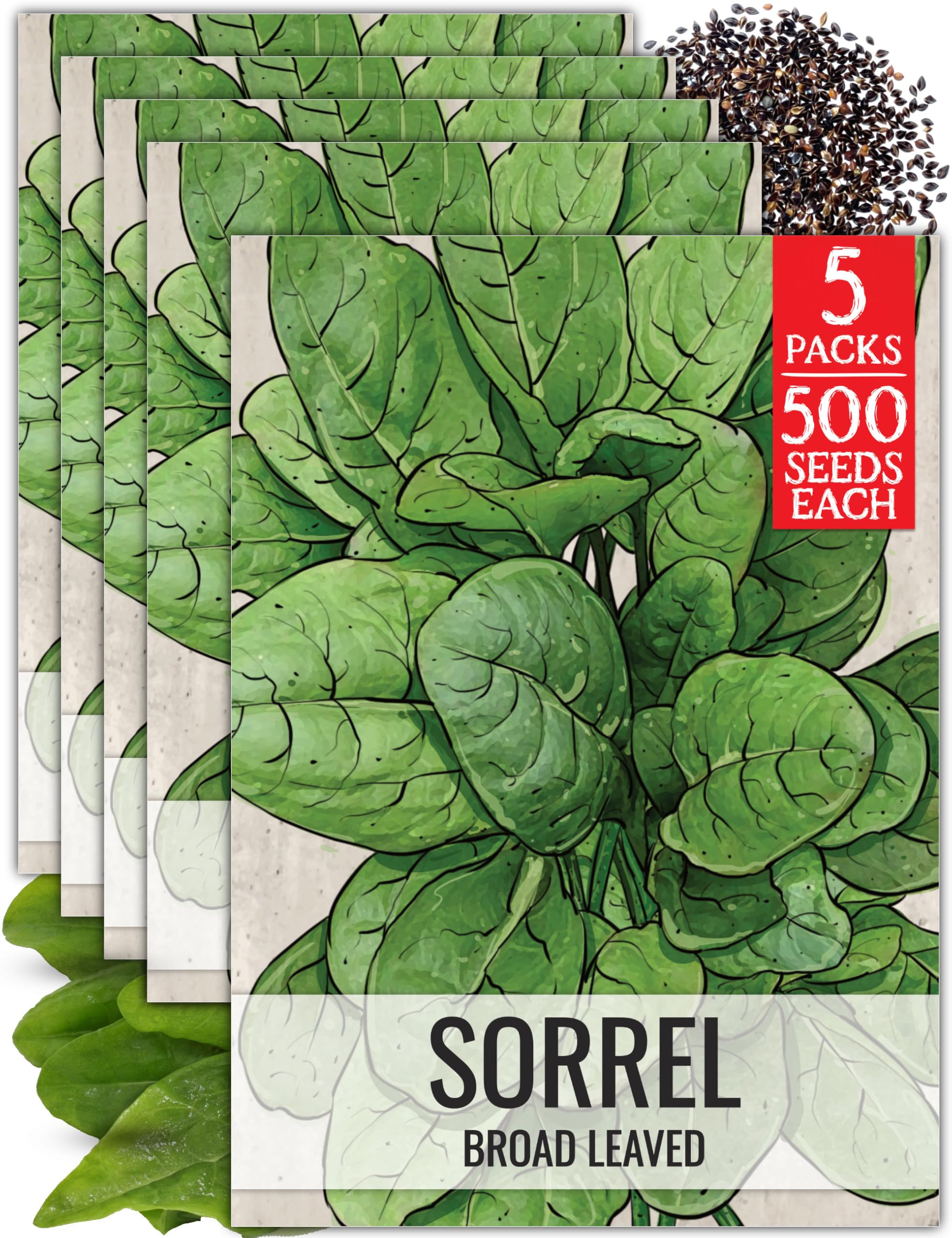 Seed Needs Large Leaf Sorrel Seeds
