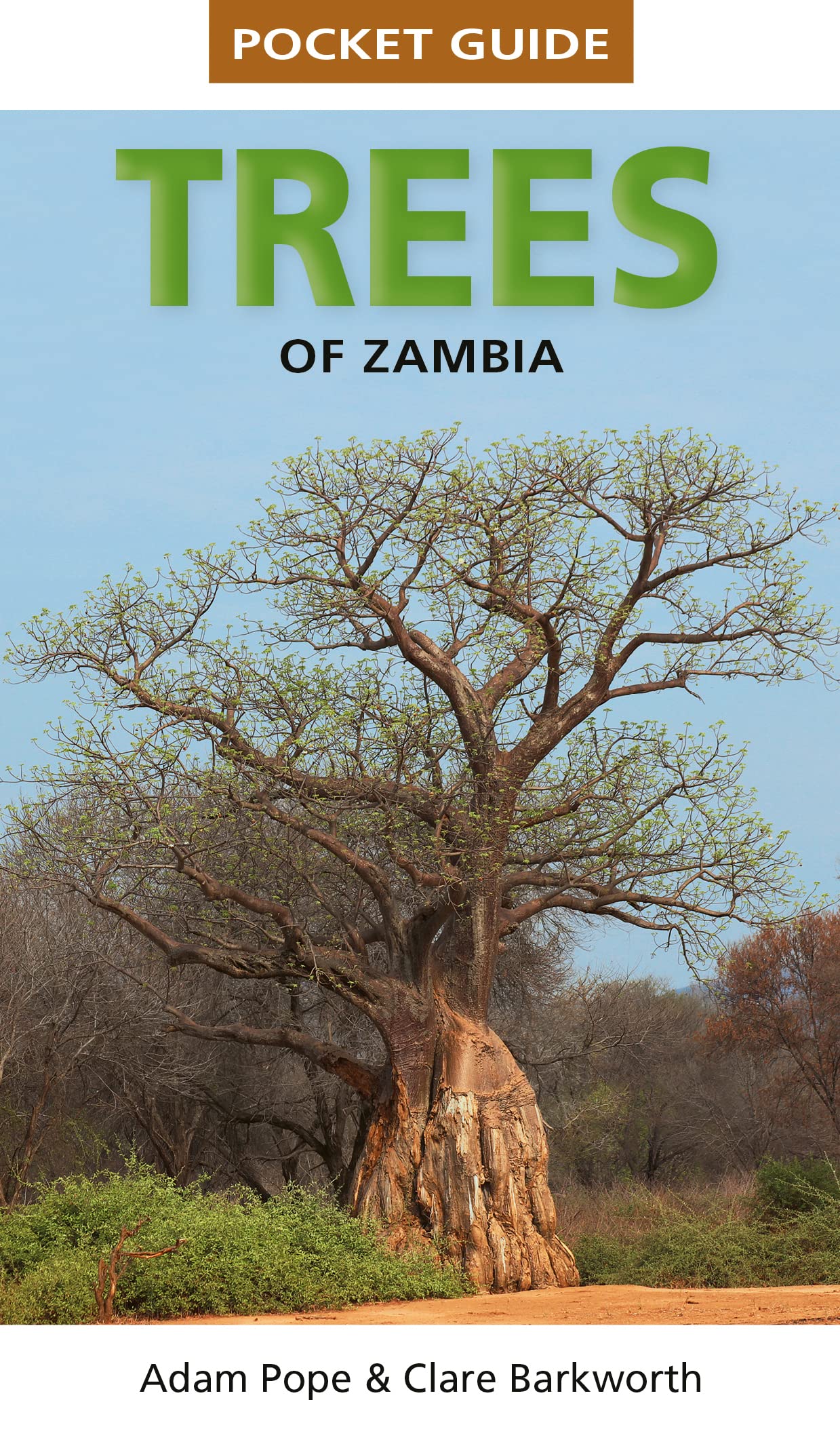 Pocket Guide Trees of Zambia by Clare Barkworth, Adam Pope - 9781775848455