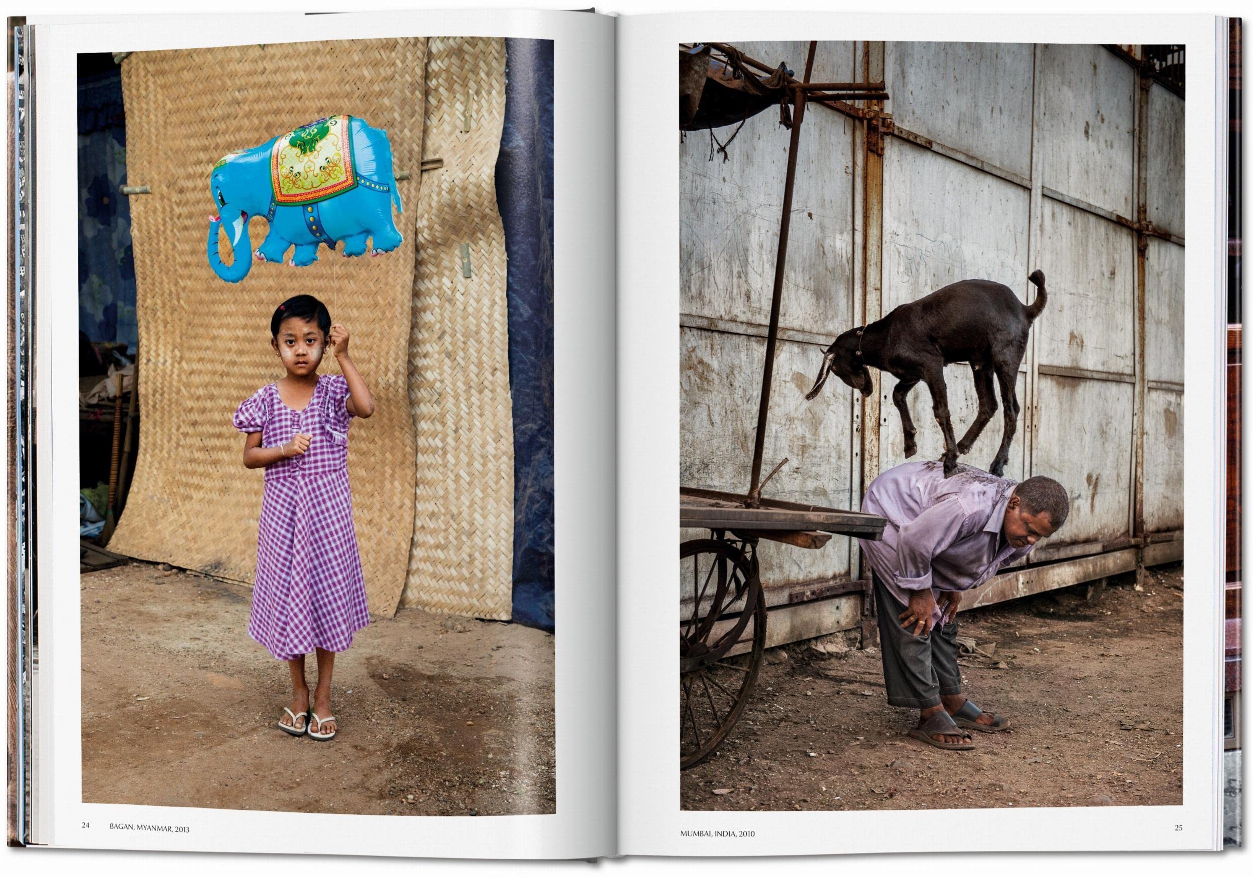 Steve McCurry. Animals: Mehrsprachige Ausgabe