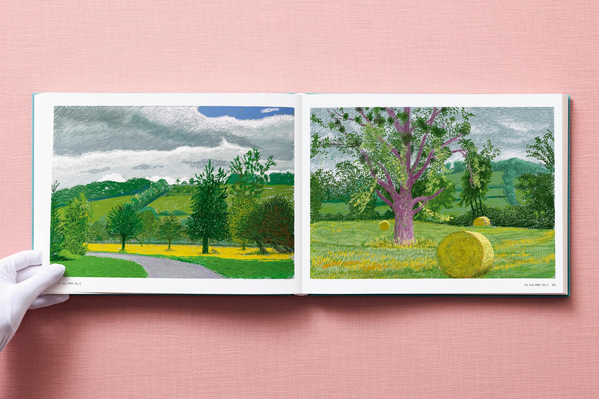 David Hockney: 220 for 2020