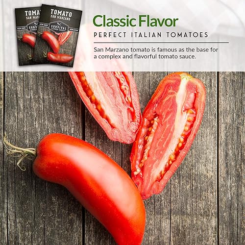 Miniatura 4 de Survival Garden Seeds - Semilla de tomate San Marzano para plantar - 5 paquetes con instrucciones para plantar y cultivar tomates ciruela italianos