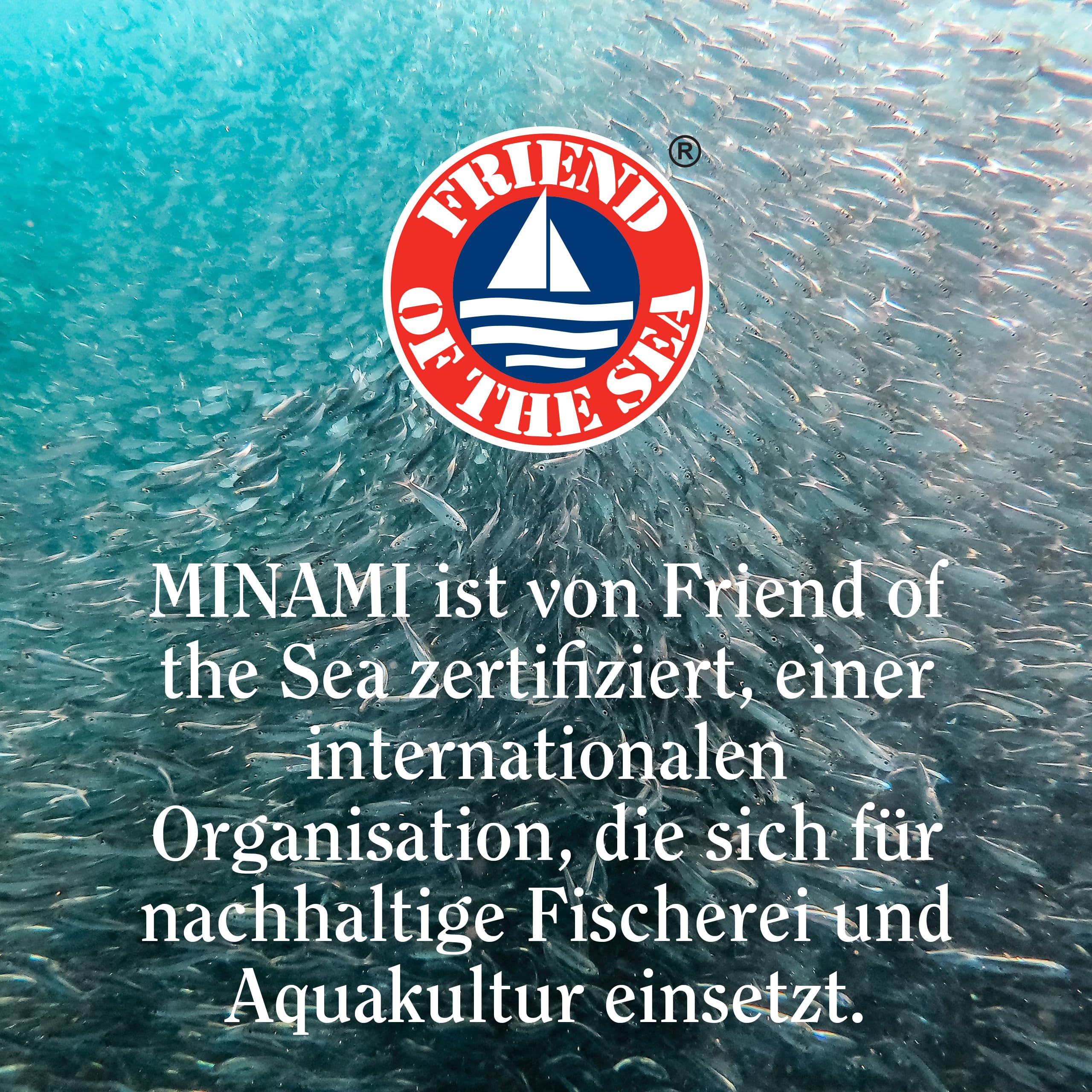 MINAMI Omega 3 Fischöl Nahrungsergänzung - MorDHA Original Omega 3 Kapseln Hochdosiert Hohe DHA-Konzentration - Gehirn- und Augenentwicklung des Fötus und Gestillter Säuglinge - 90 Weichkapsel