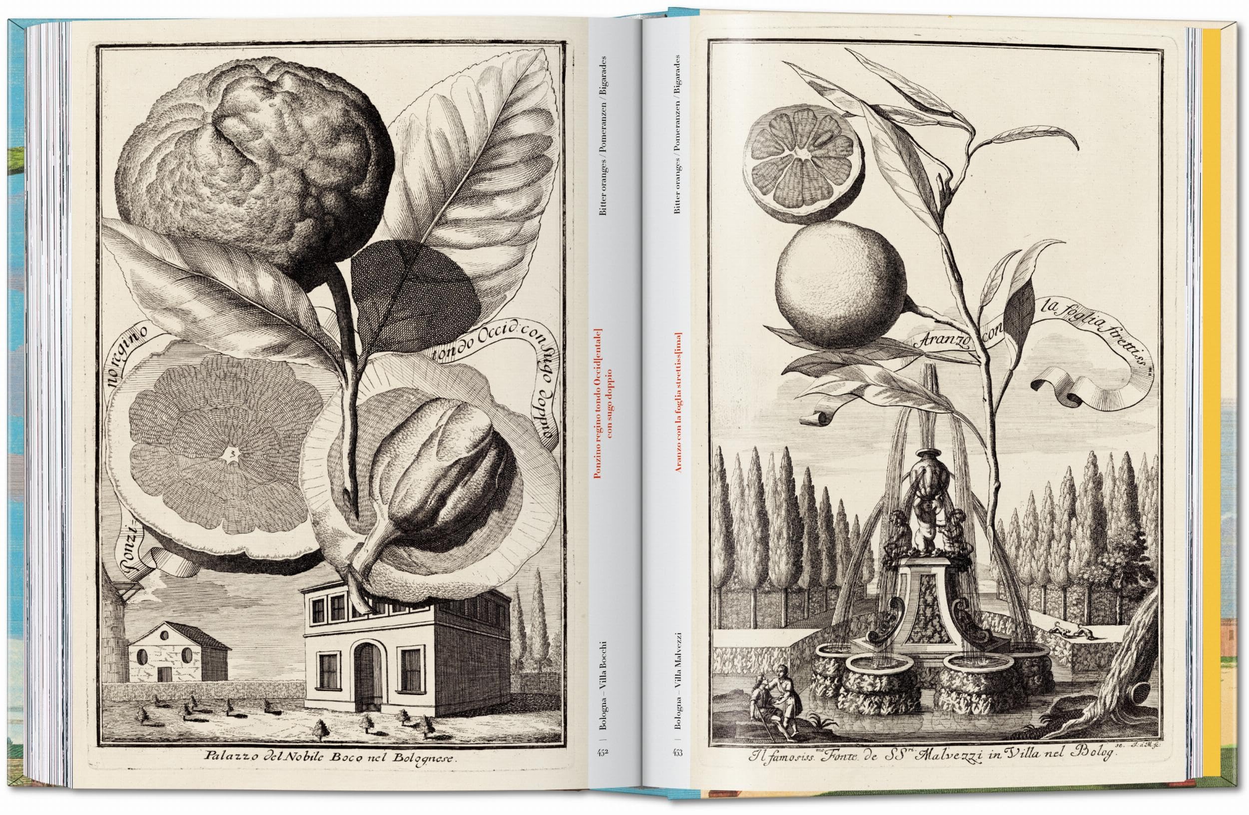 J.C. Volkamer: The Book of Citrus Fruits. 45th Ed.