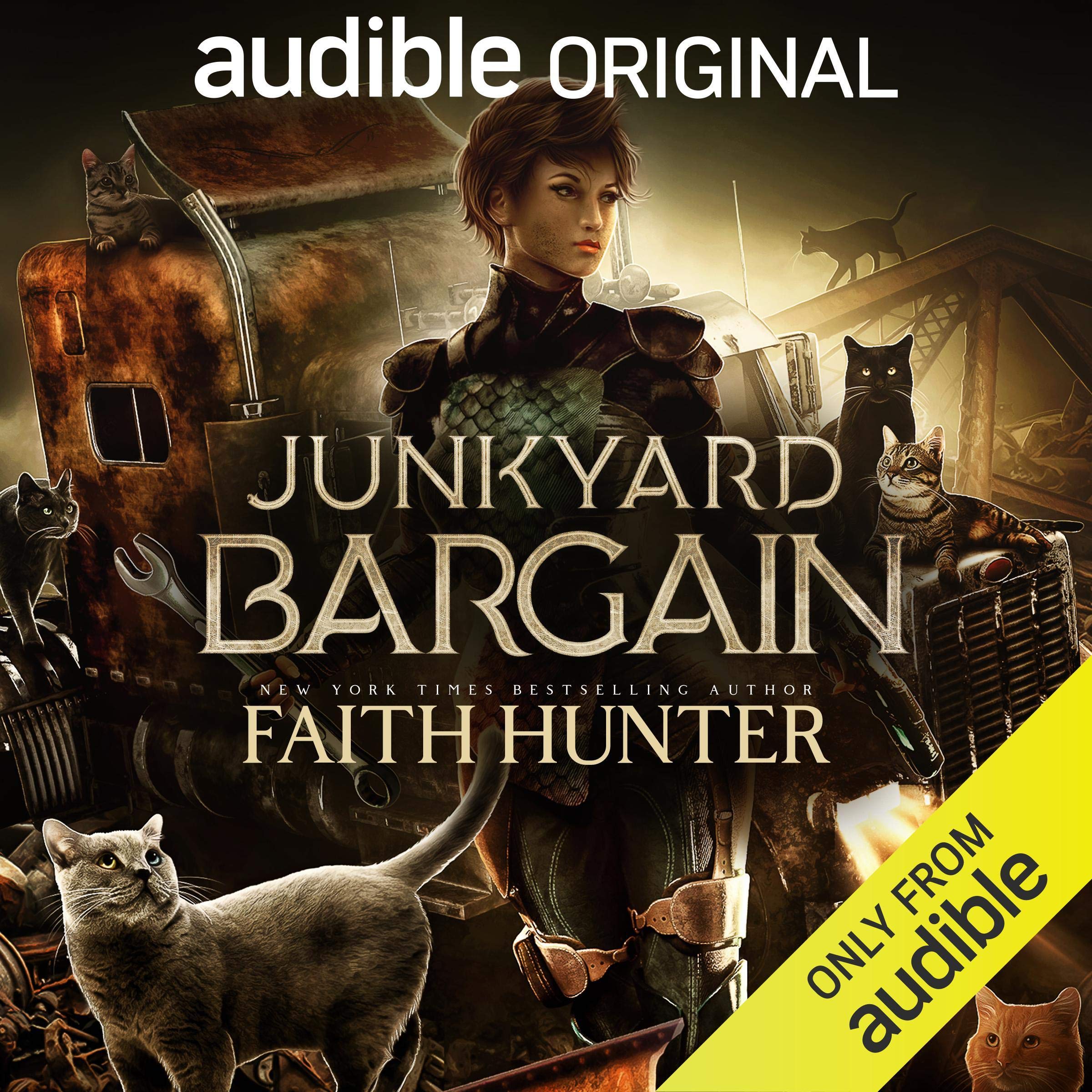 Cover art for Junkyard Bargain