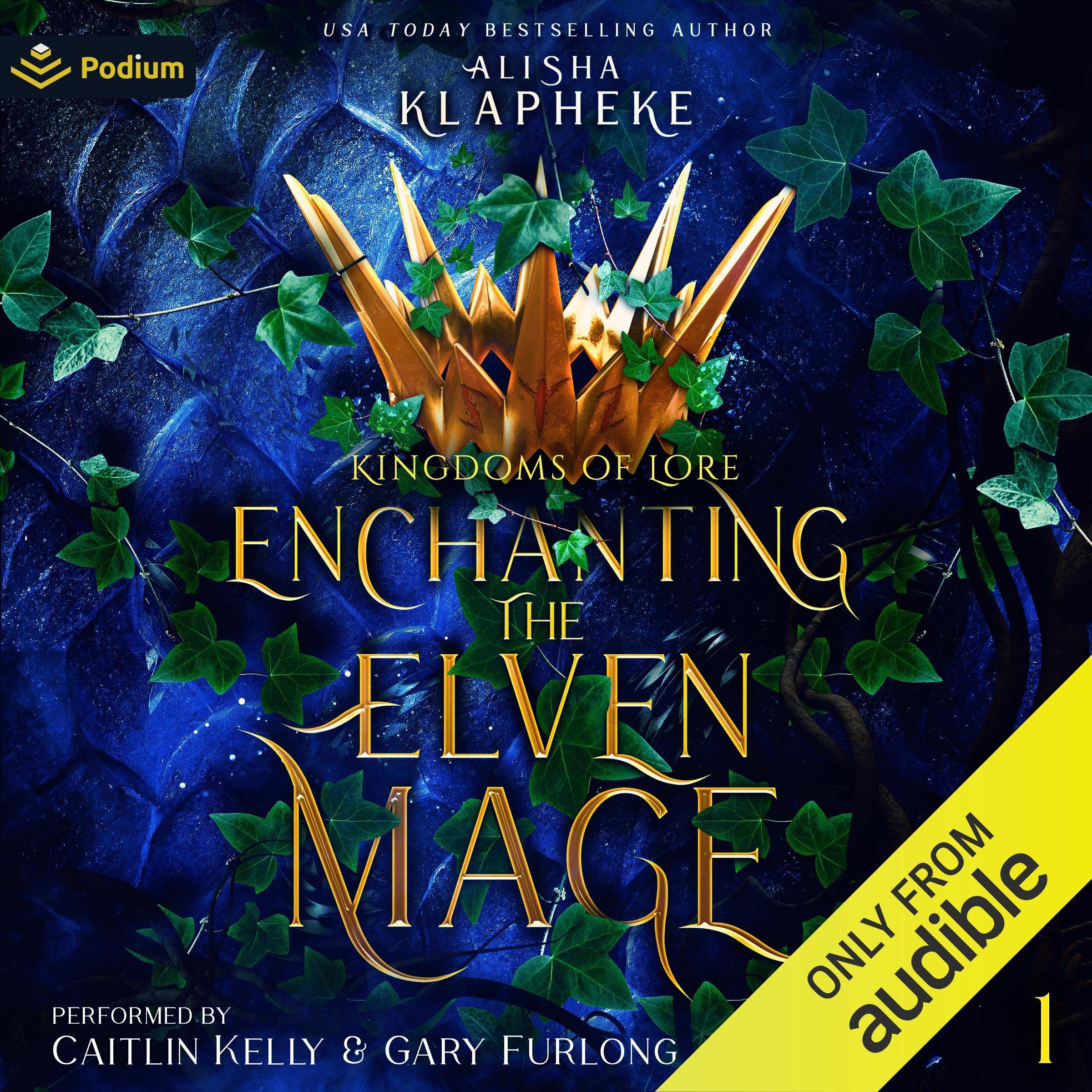 Cover art for Enchanting the Elven Mage