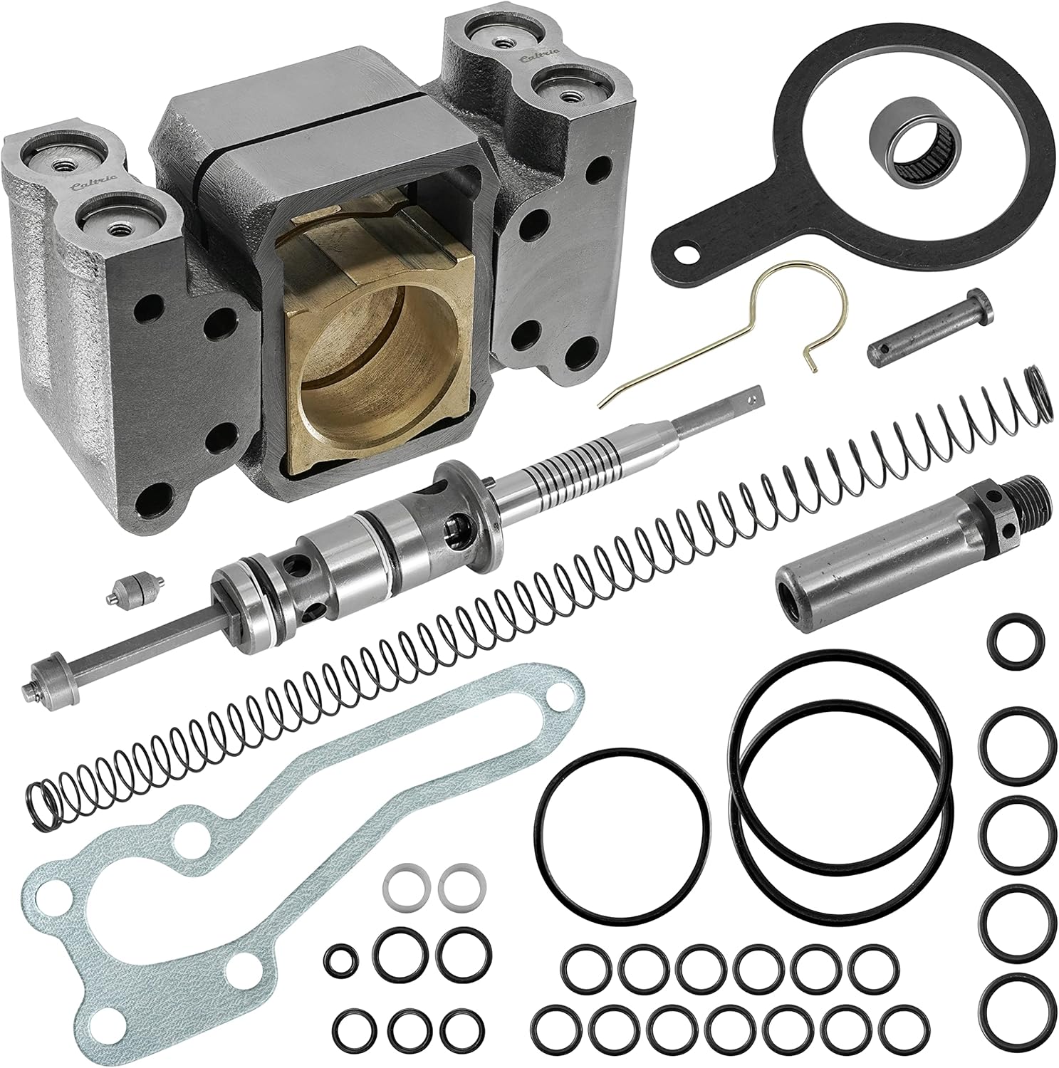 Caltric Hydraulic Pump Repair Kit Compatible with Massey