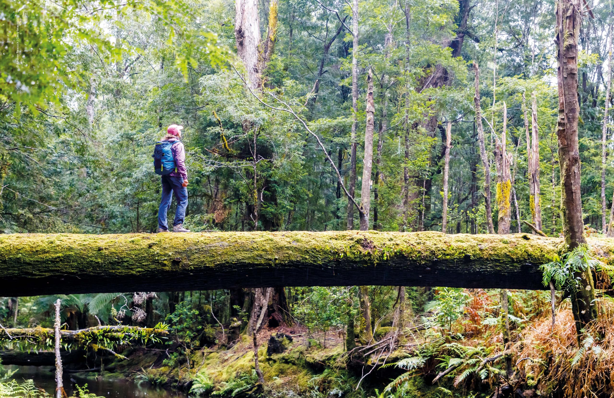 Lonely Planet The Joy of Quiet Places: 60 travel experiences to uplift and inspire: The World's Most Serene & Peaceful Spaces | 180 Ideas for Tranquil ... on Where & When to Go | Stunning Photography