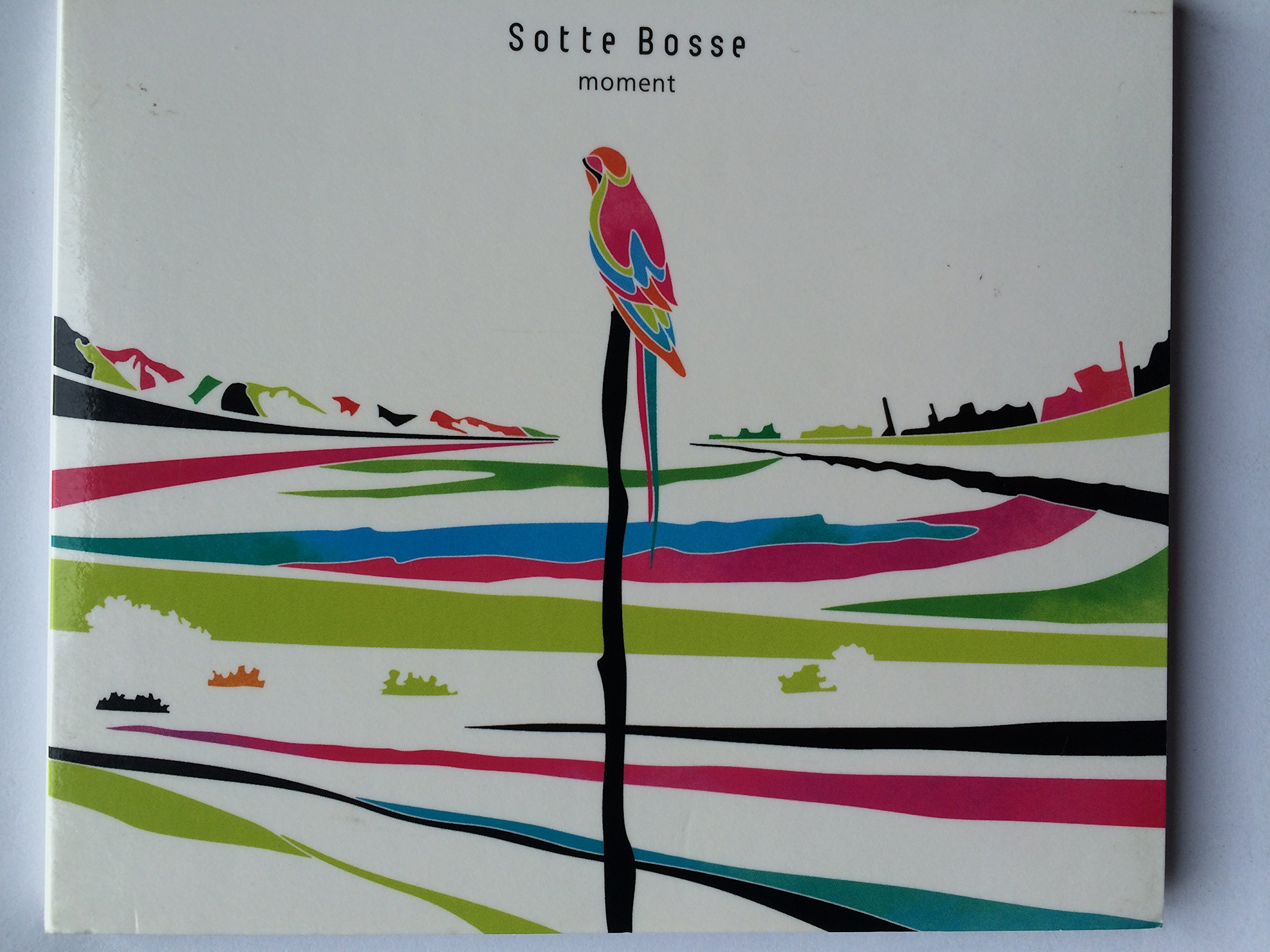 Amazon.co.jp: moment - Sotte Bosse: ミュージック