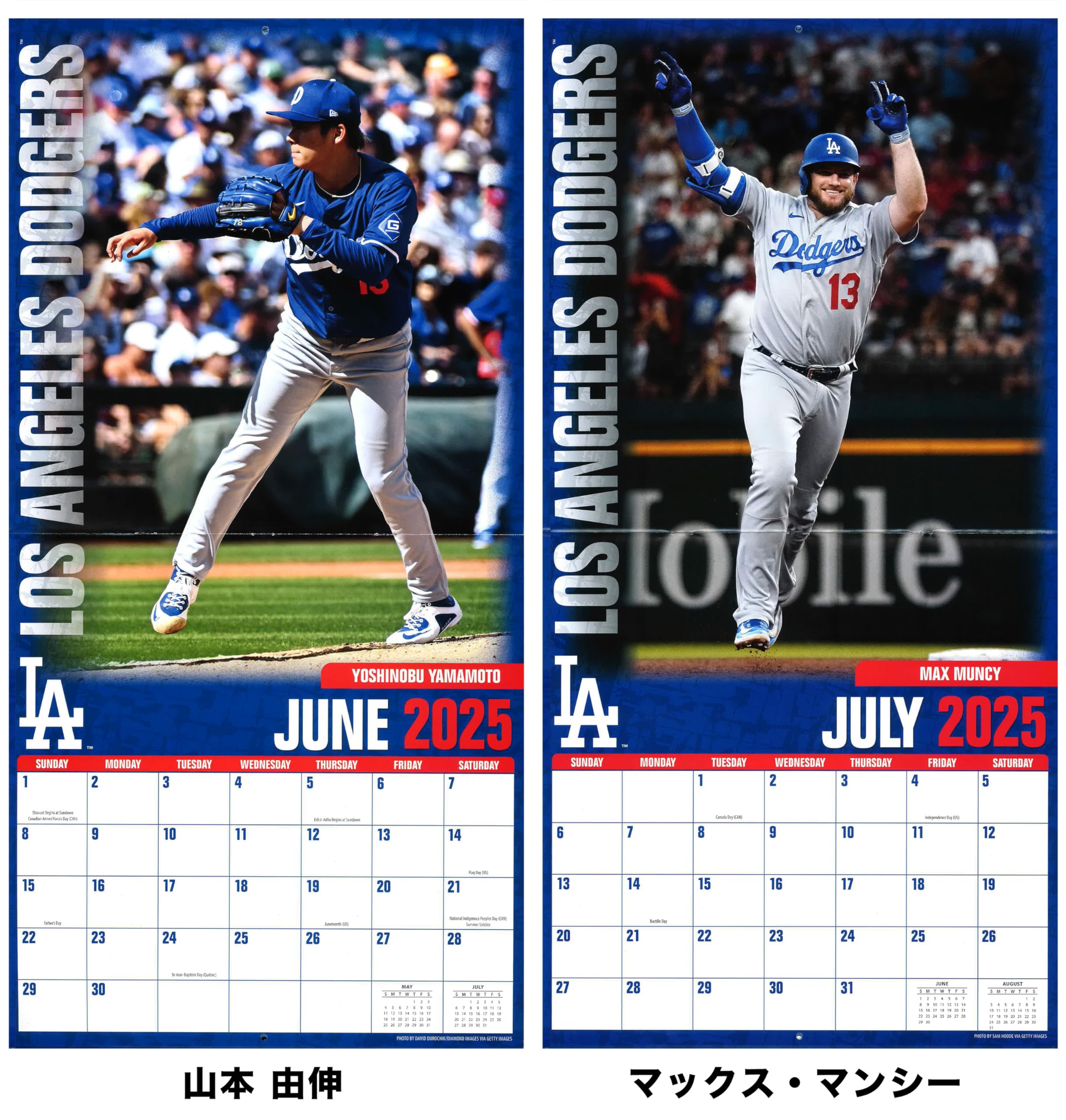 Amazon | ロサンゼルス・ドジャース 2025年 MLB公式 壁掛けカレンダー