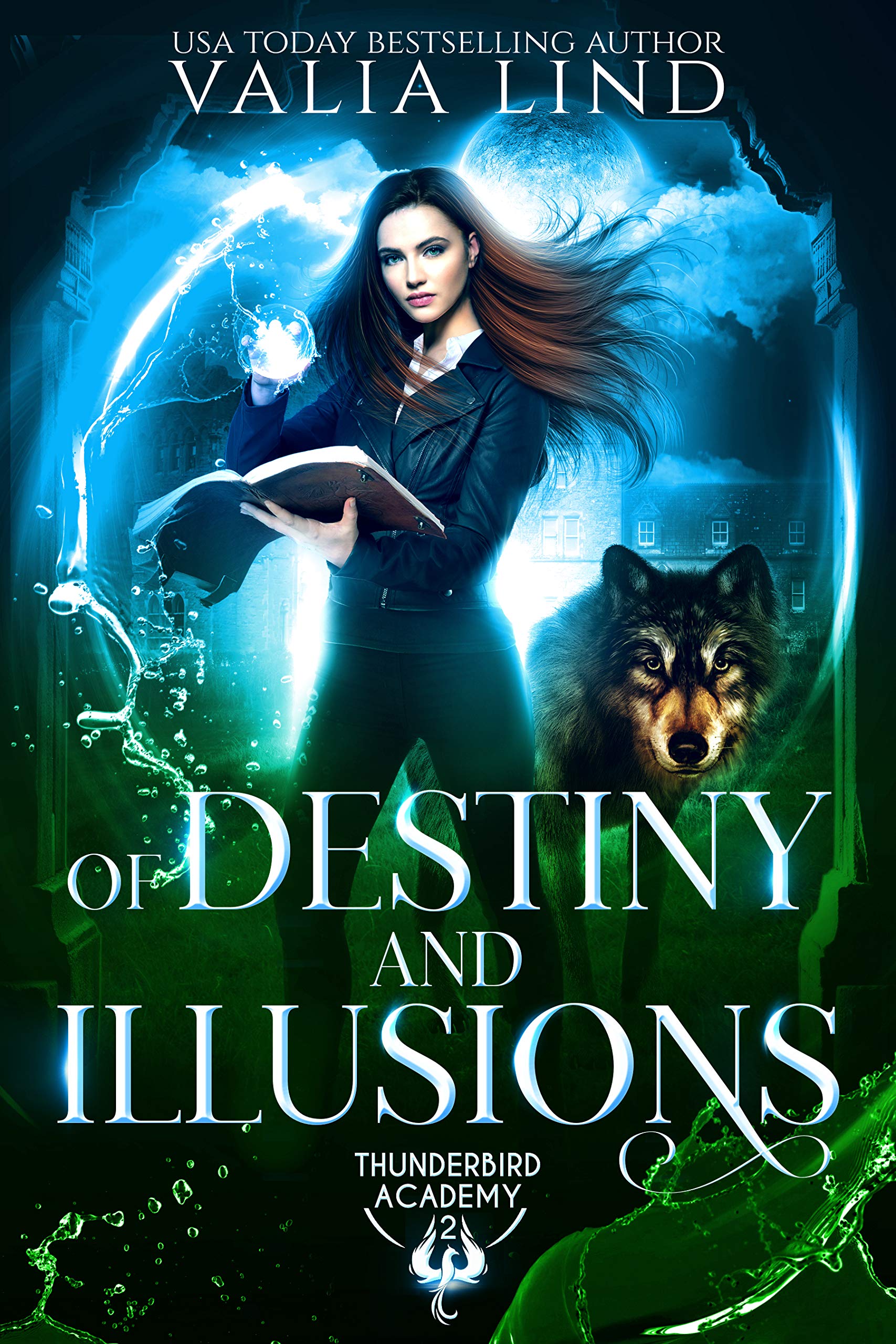 Cover of Of Destiny and Illusions