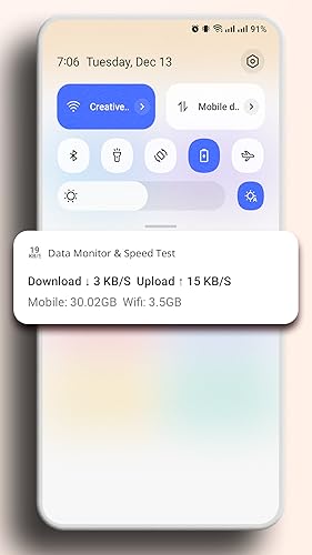 Data Monitor & Speed Test