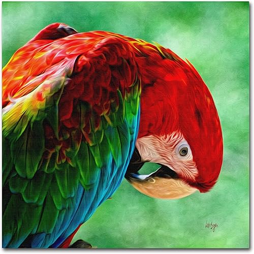 Lois Bryan - Cuadrado de Guacamayo Colorido, 14 x 14 pulgadas