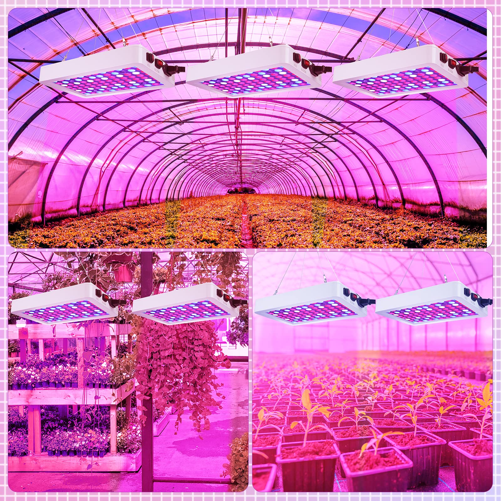 グロウアップライト×2 グロウアップライト×2