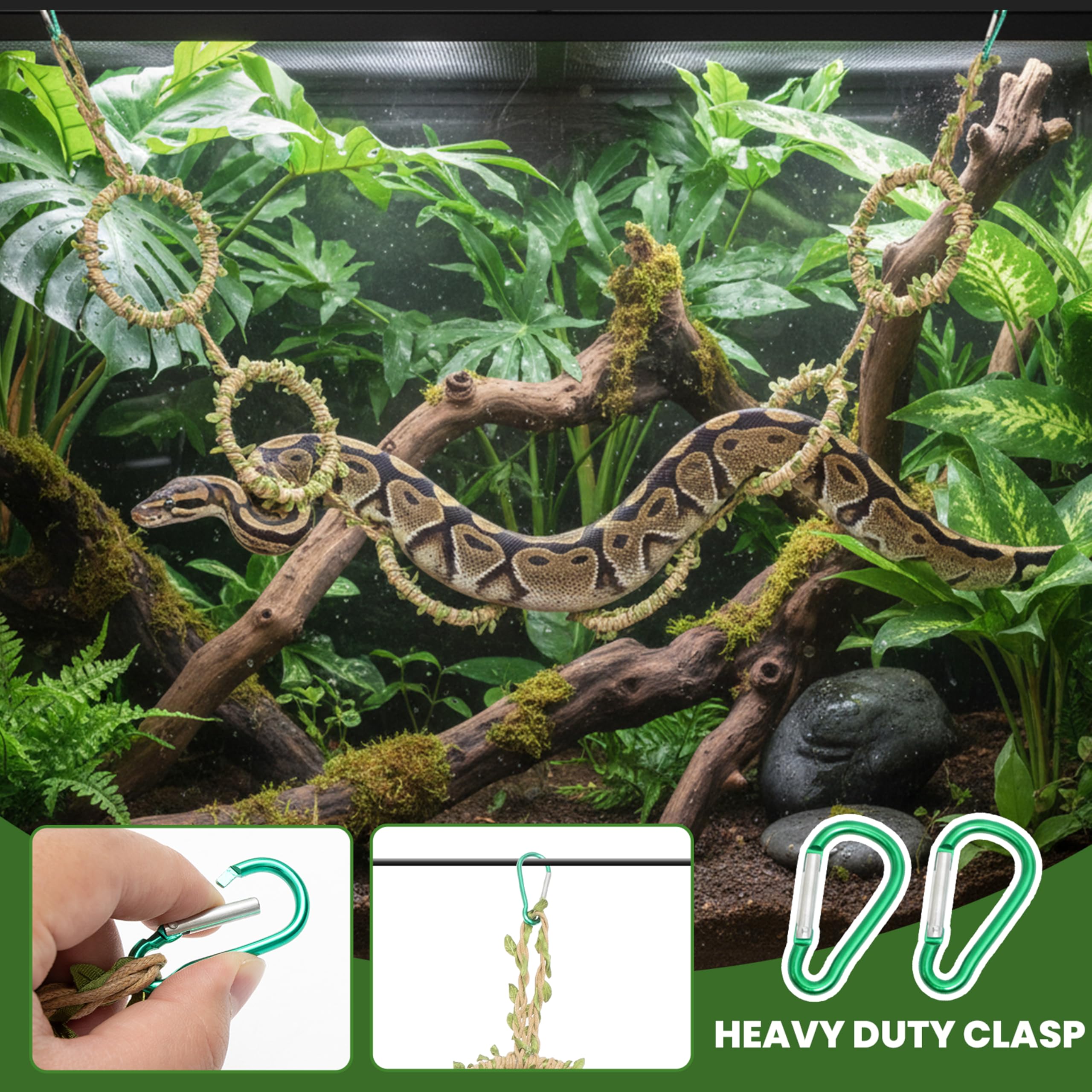 Snake Climbing Rings for Ball Python & Corn Snake, Enrichment Pet Toys Reptile Tank Cage Decor Habitat Accessories for Terrarium, Bearded Dragon, Chameleon, Lizard, Parrot - 3