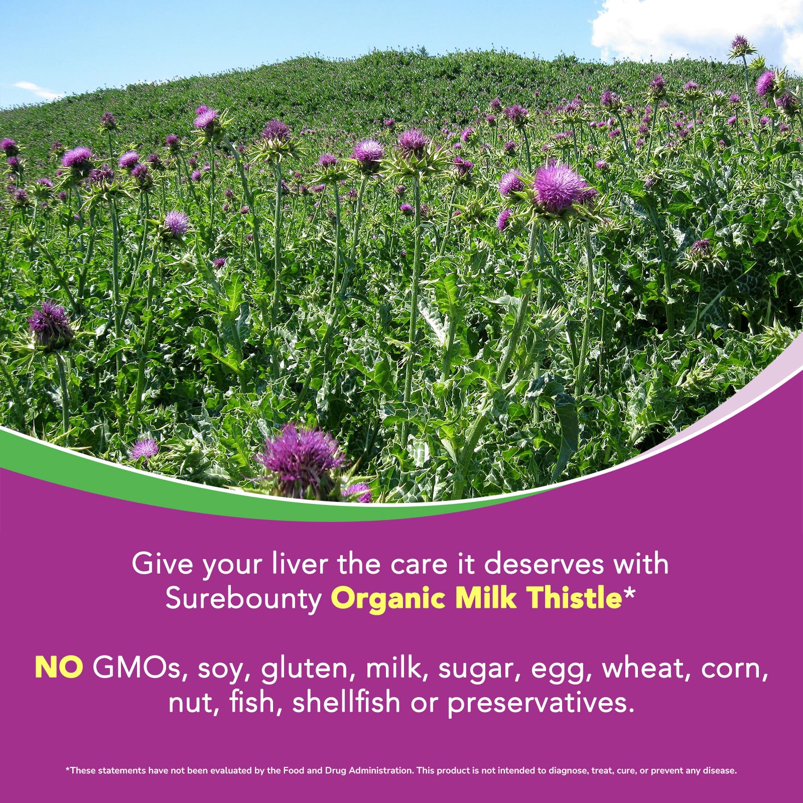 Organic Milk Thistle, Concentrated Seed Extract, 80% Silymarin, Liver Support Cleanse Detox, Fatty Liver Supplements, Non-GMO, No Gluten & Soy, 60 Veggie Caps, 2 Month Supply — Amazon image 6