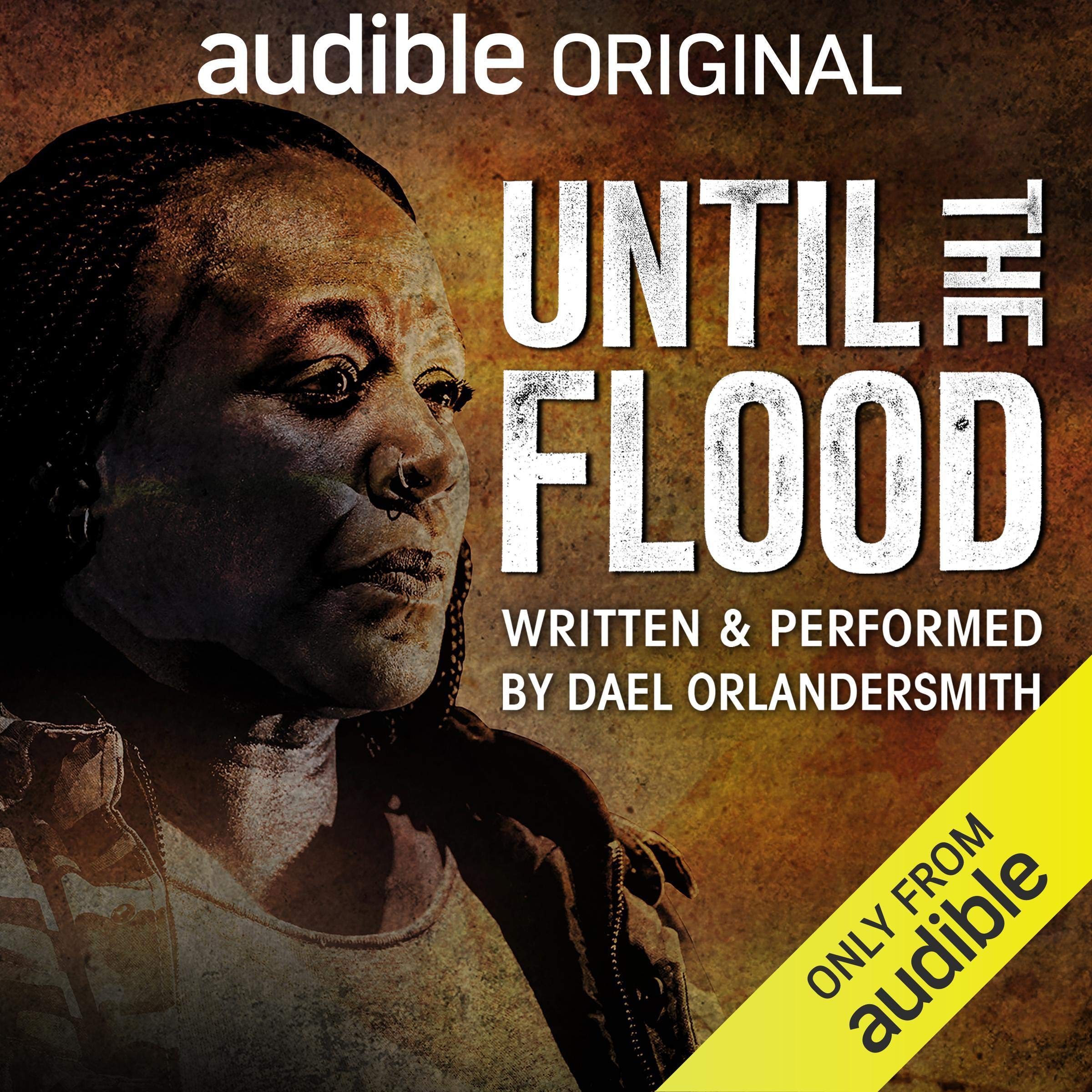 Cover art for Until the Flood
