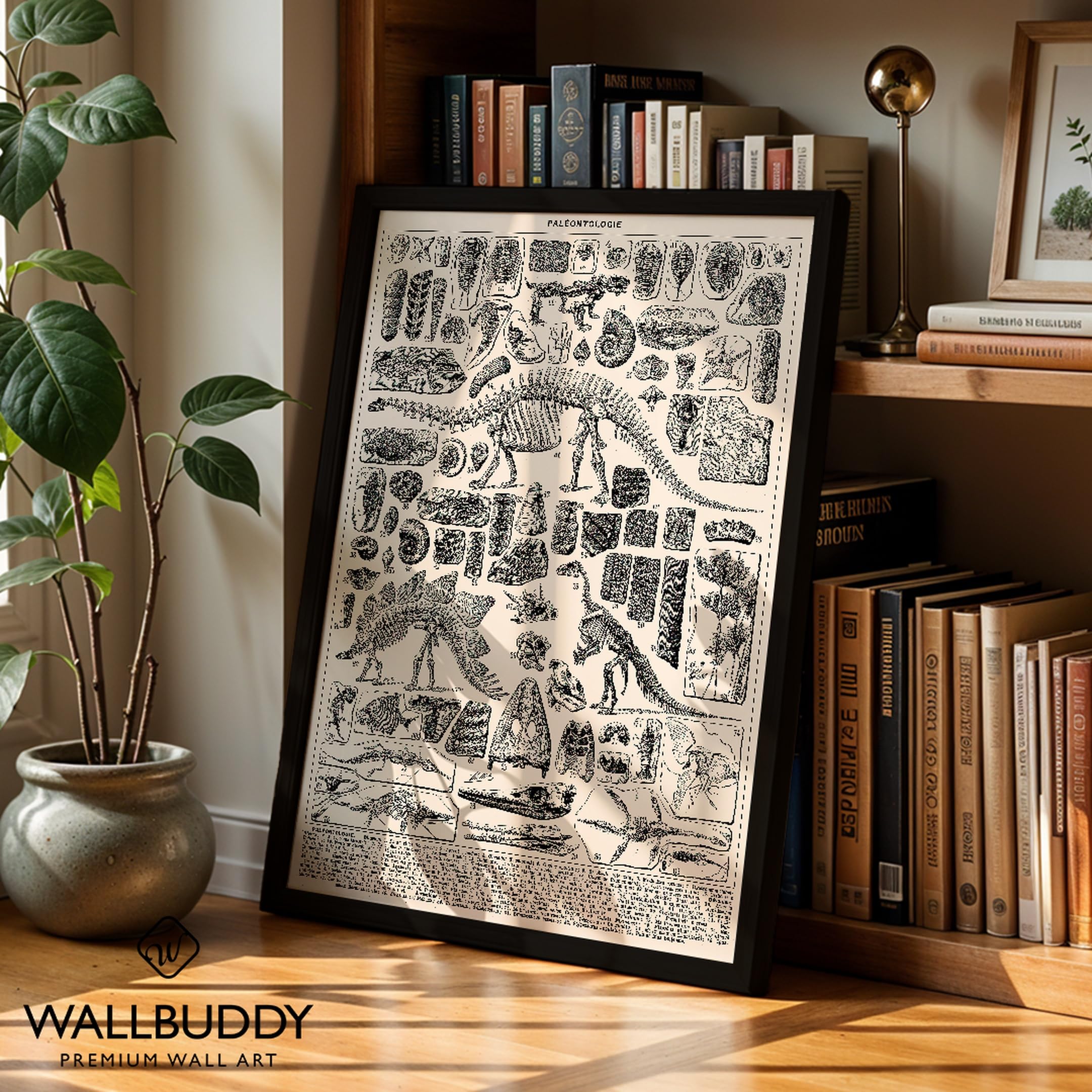 Wallbuddy Stampa d'Arte Verticale di Paleontolog (50 x 70 cm, Cornice nera)