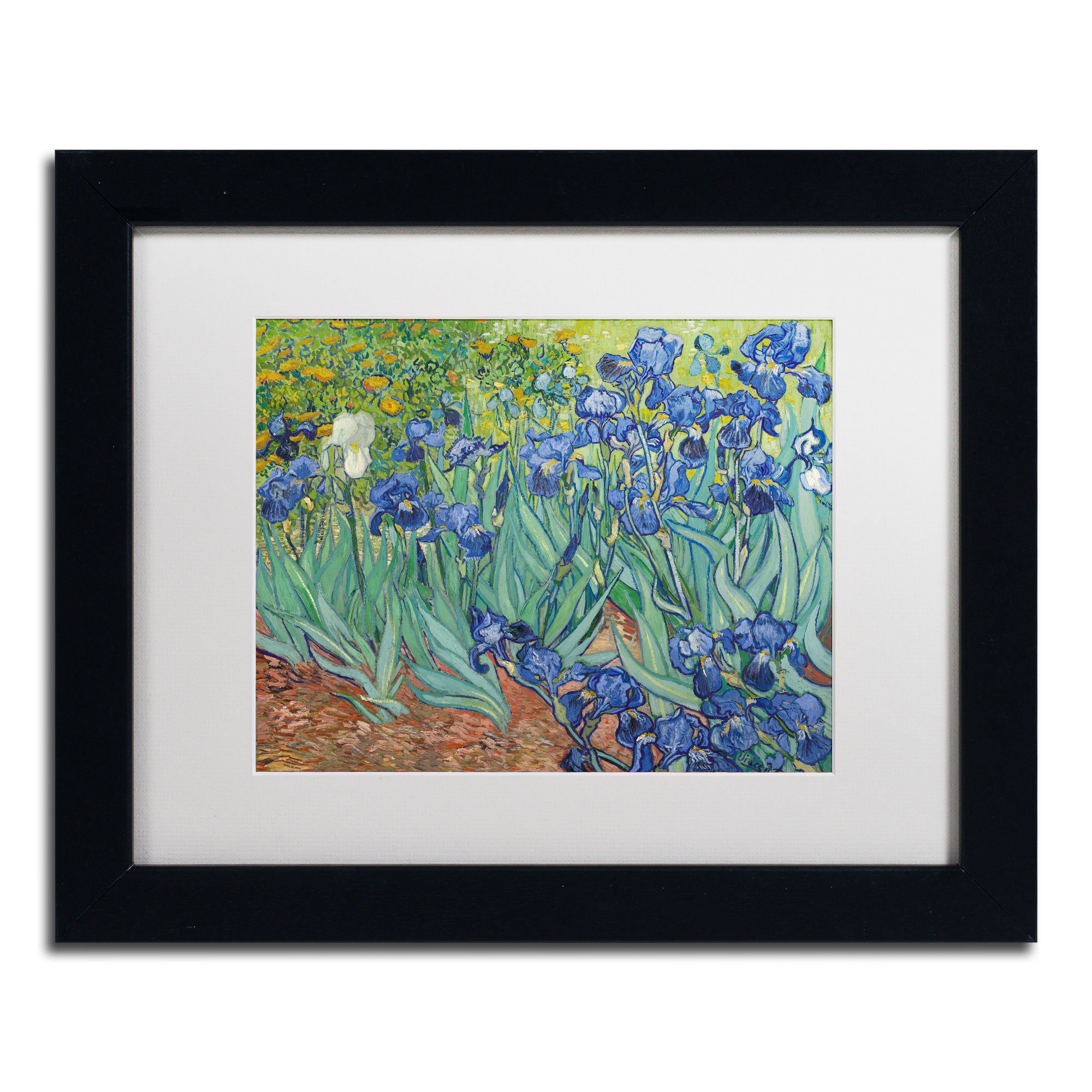Trademark Fine Art Irises 1889 Artwork Vincent van Gogh in White Matte and Black Frame 11 by 14-Inch