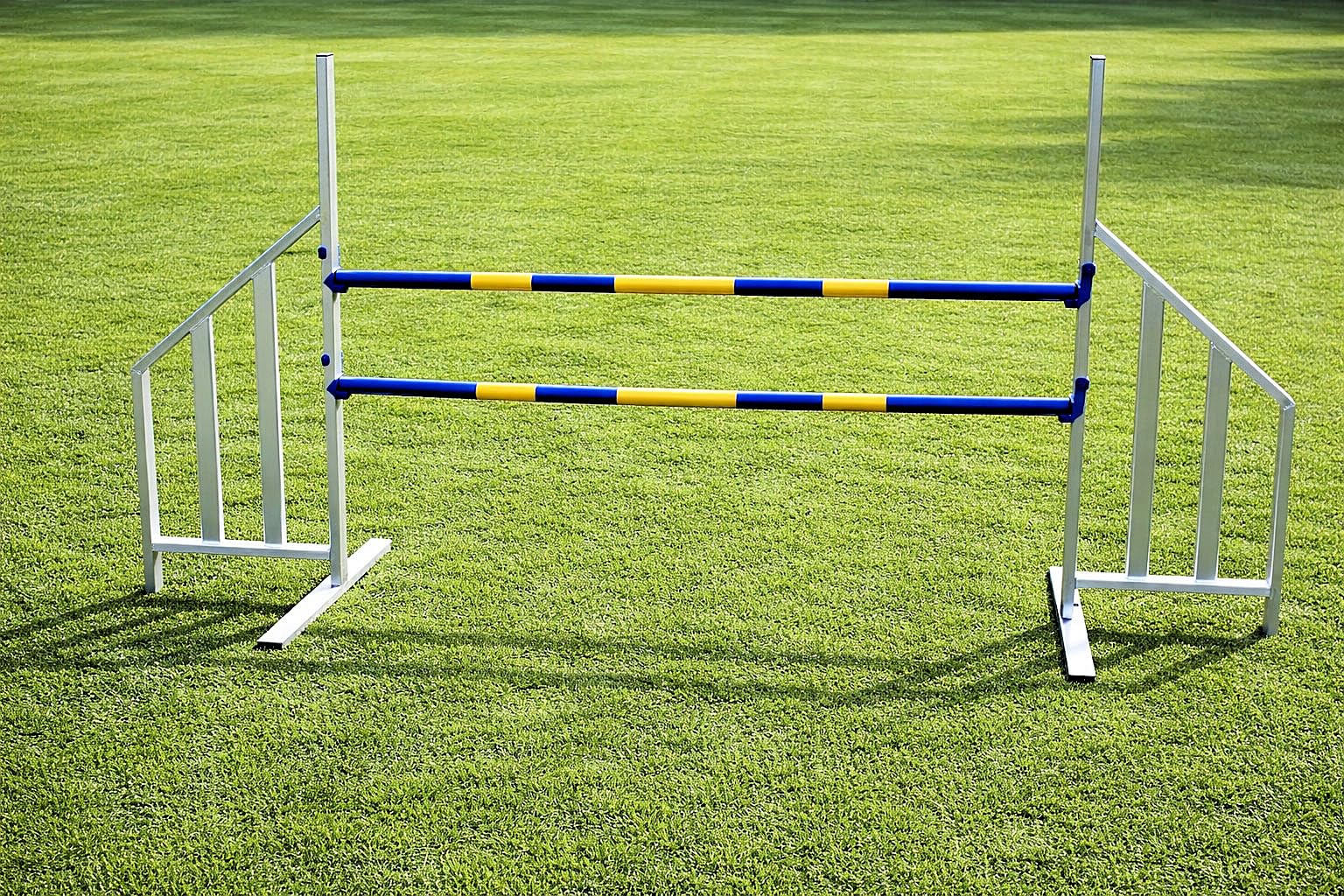Agility ALU-Hürde für Hunde Profi-Training-Set FCI konform - Agilität Fitness für Ihren Hund - Hundesport