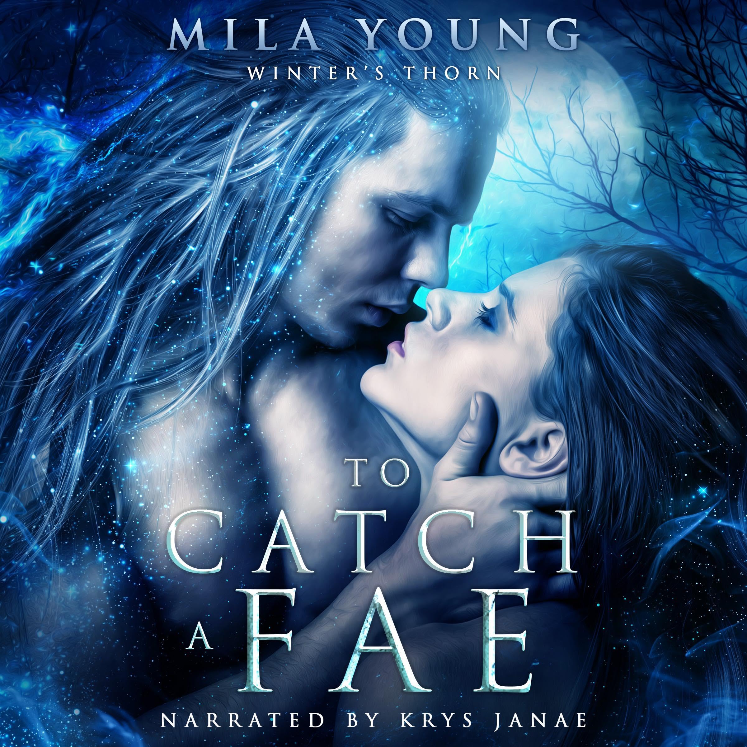 Cover art for To Catch a Fae