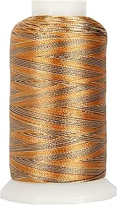 Amazon.com: Threadart Variegated Polyester Embroidery Thread - 40wt ...